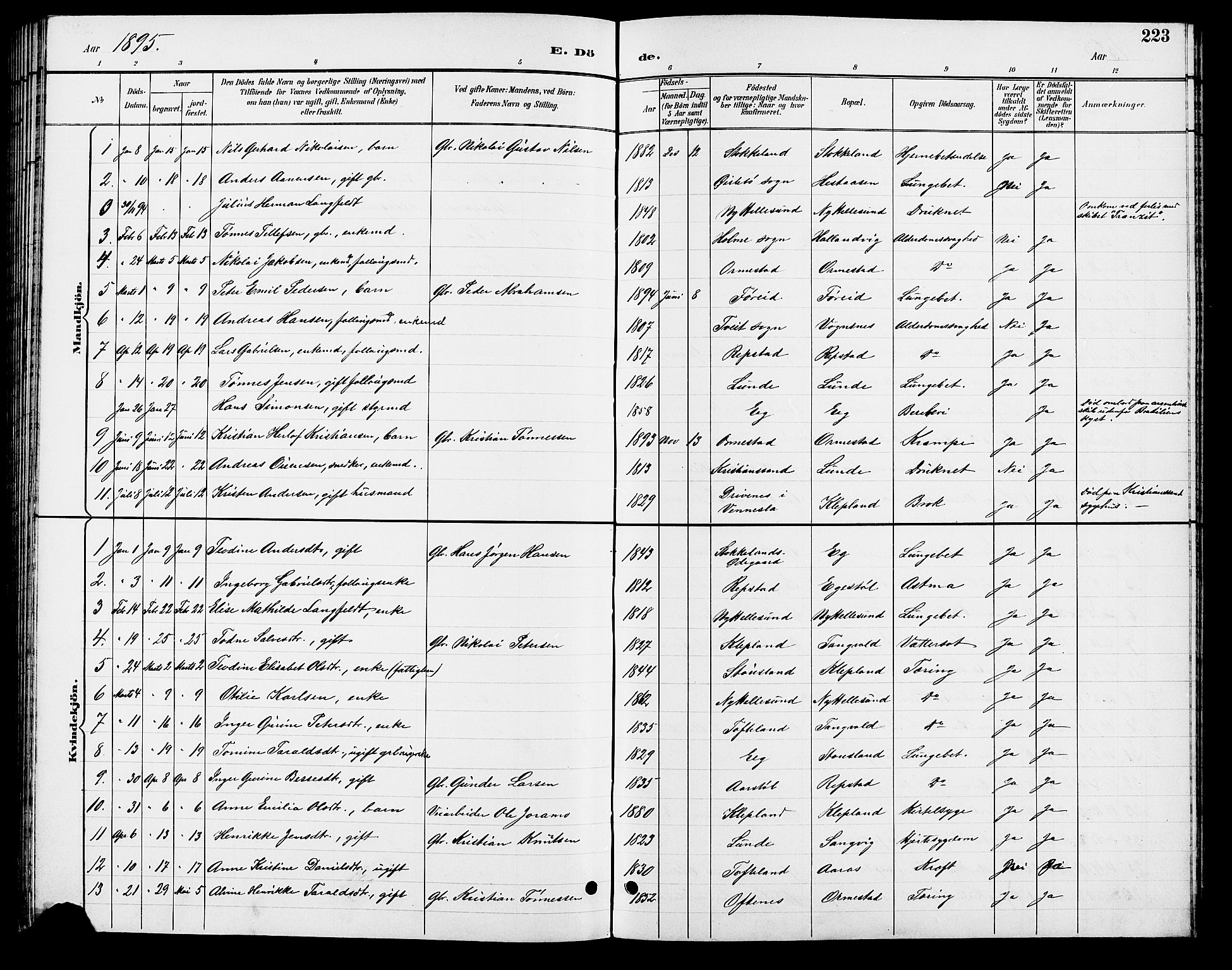 Søgne sokneprestkontor, SAK/1111-0037/F/Fb/Fbb/L0006: Parish register (copy) no. B 6, 1892-1911, p. 223