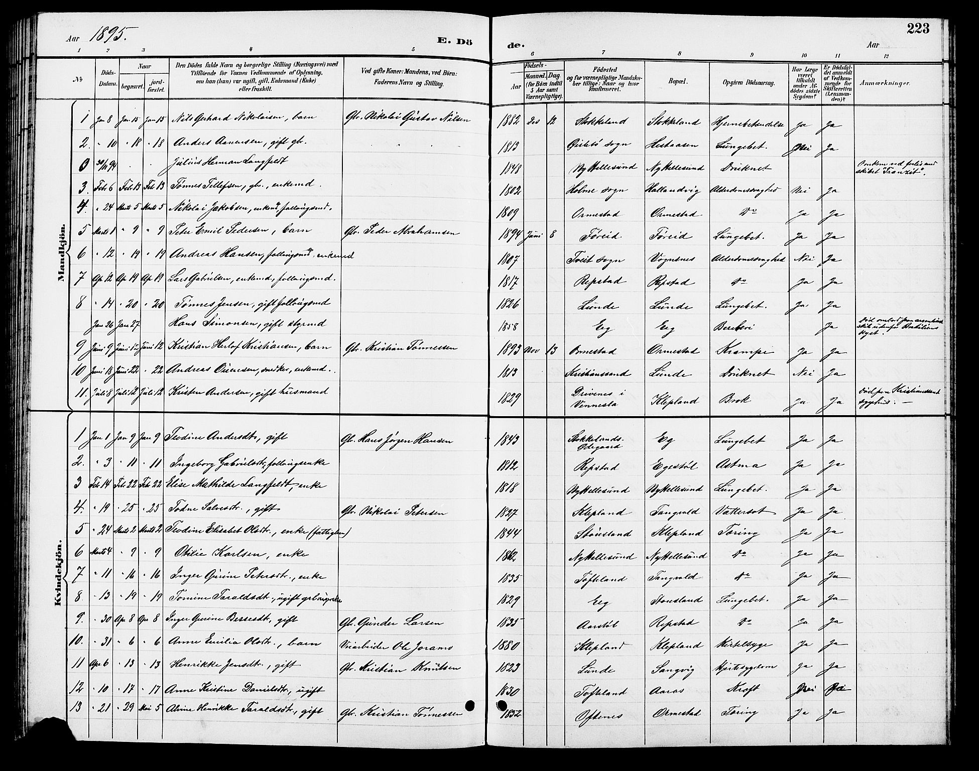 Søgne sokneprestkontor, AV/SAK-1111-0037/F/Fb/Fbb/L0006: Parish register (copy) no. B 6, 1892-1911, p. 223