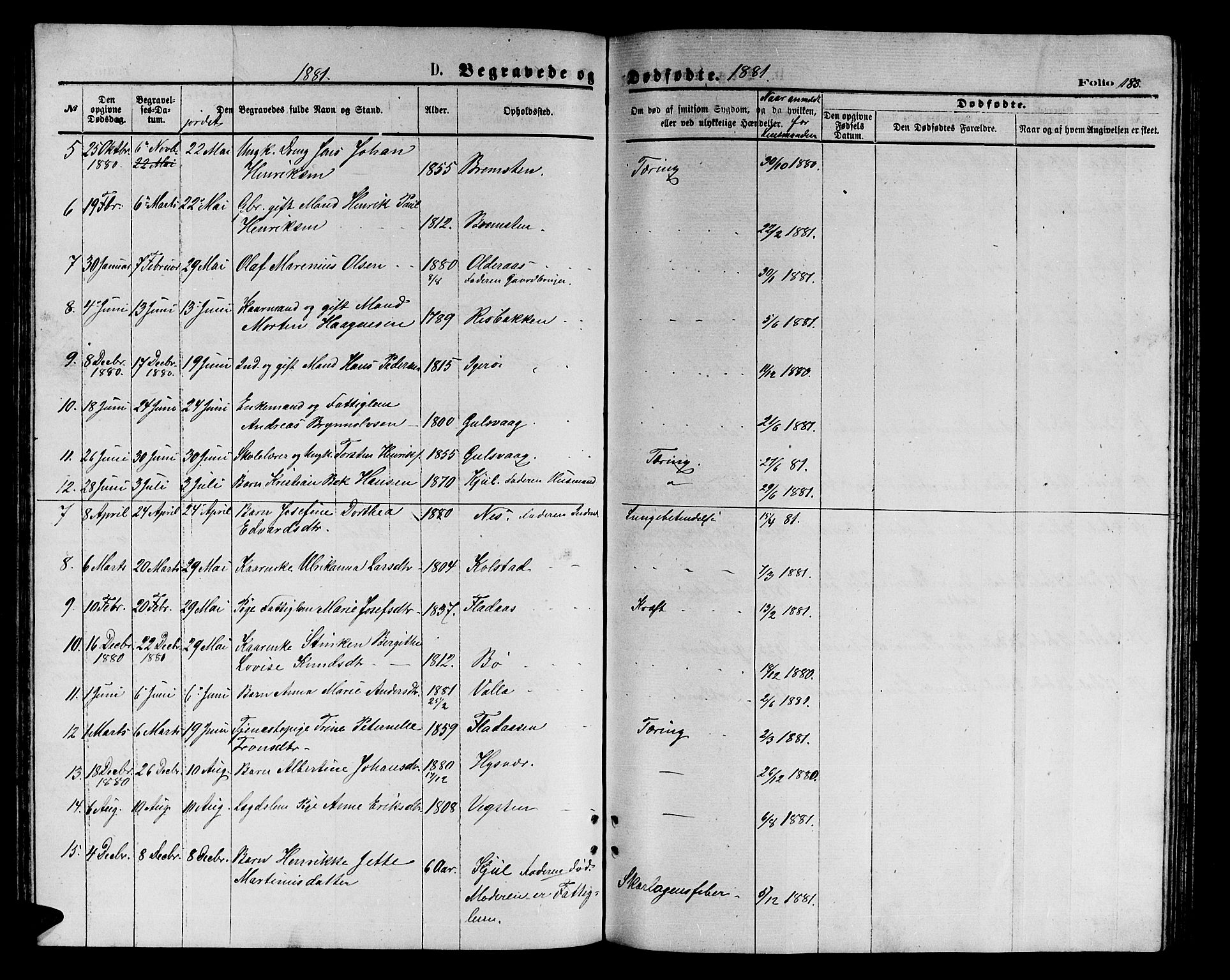 Ministerialprotokoller, klokkerbøker og fødselsregistre - Nordland, AV/SAT-A-1459/816/L0252: Parish register (copy) no. 816C02, 1871-1885, p. 183