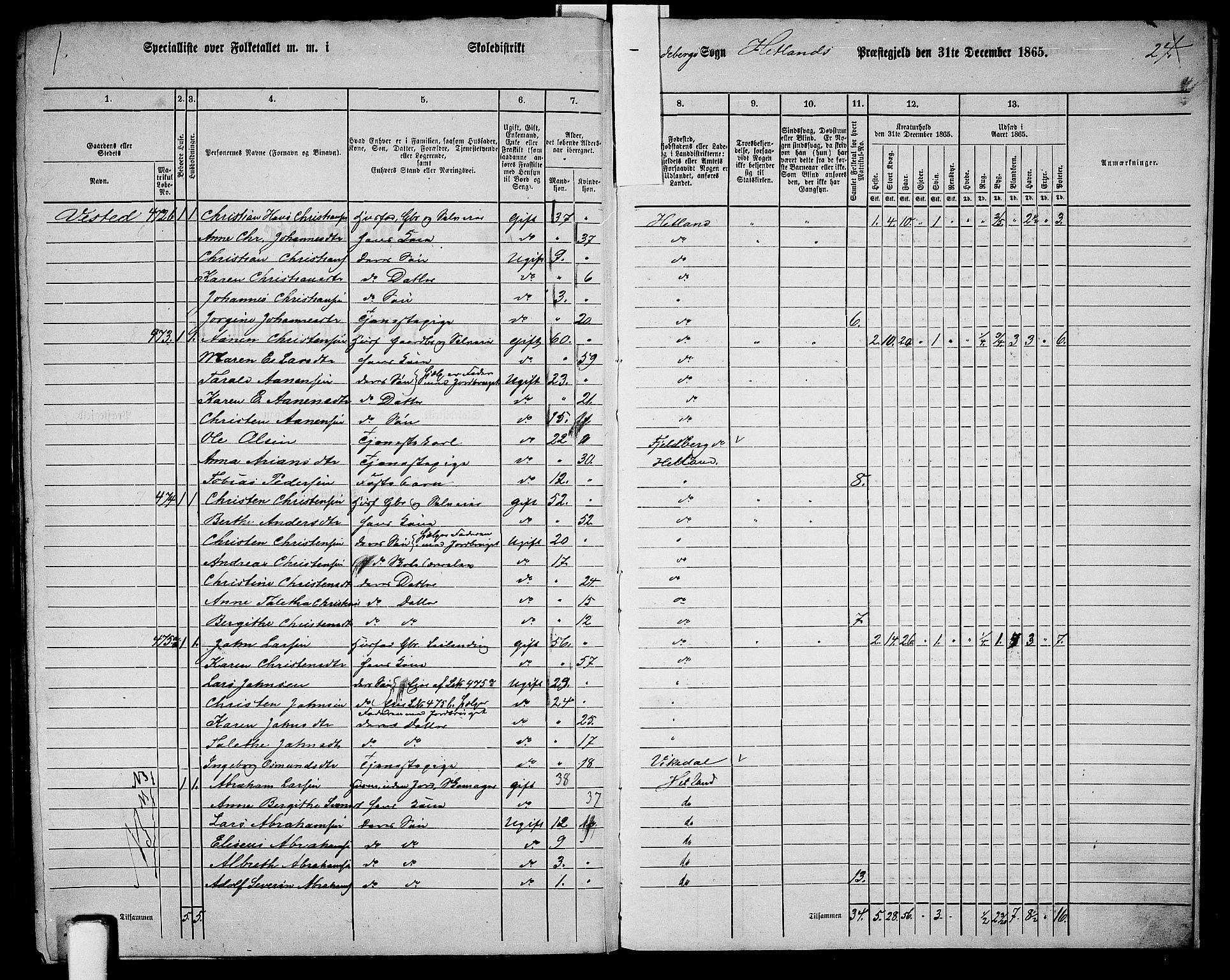 RA, 1865 census for Hetland, 1865, p. 211