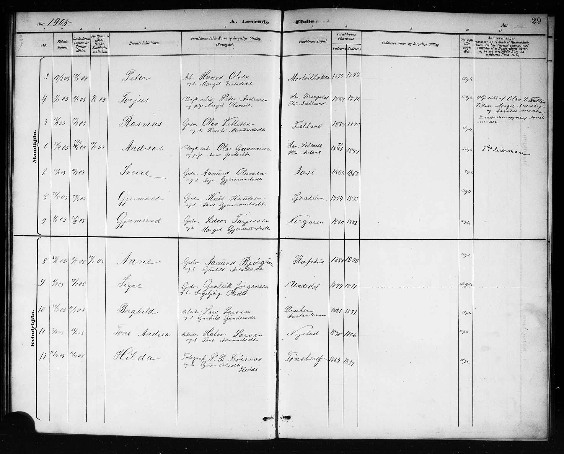 Mo kirkebøker, SAKO/A-286/G/Ga/L0002: Parish register (copy) no. I 2, 1892-1914, p. 29