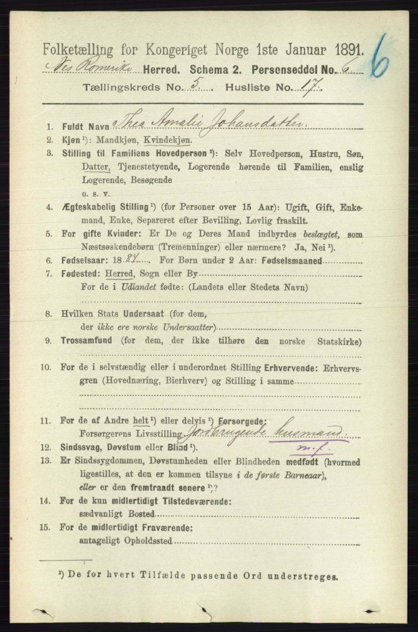 RA, 1891 census for 0236 Nes, 1891, p. 2886