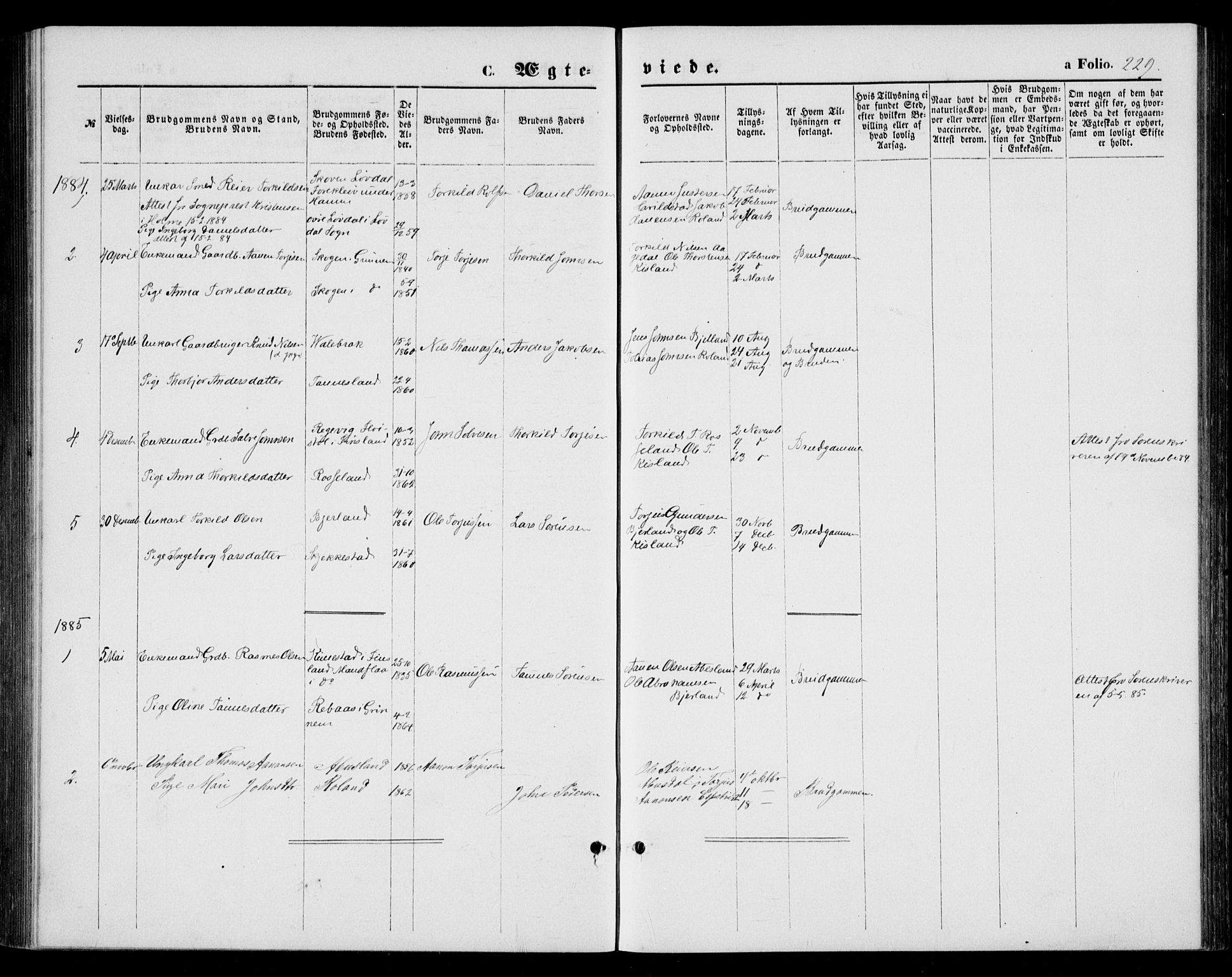 Bjelland sokneprestkontor, AV/SAK-1111-0005/F/Fb/Fba/L0004: Parish register (copy) no. B 4, 1869-1886, p. 229