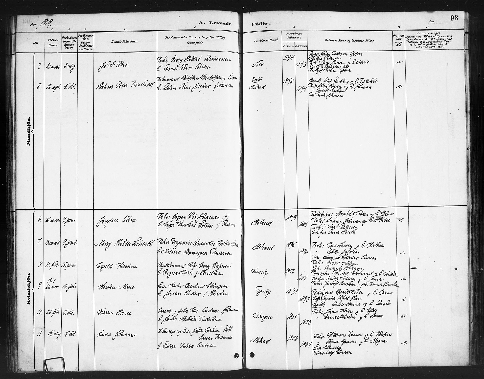 Ministerialprotokoller, klokkerbøker og fødselsregistre - Nordland, AV/SAT-A-1459/808/L0131: Parish register (copy) no. 808C02, 1879-1919, p. 93