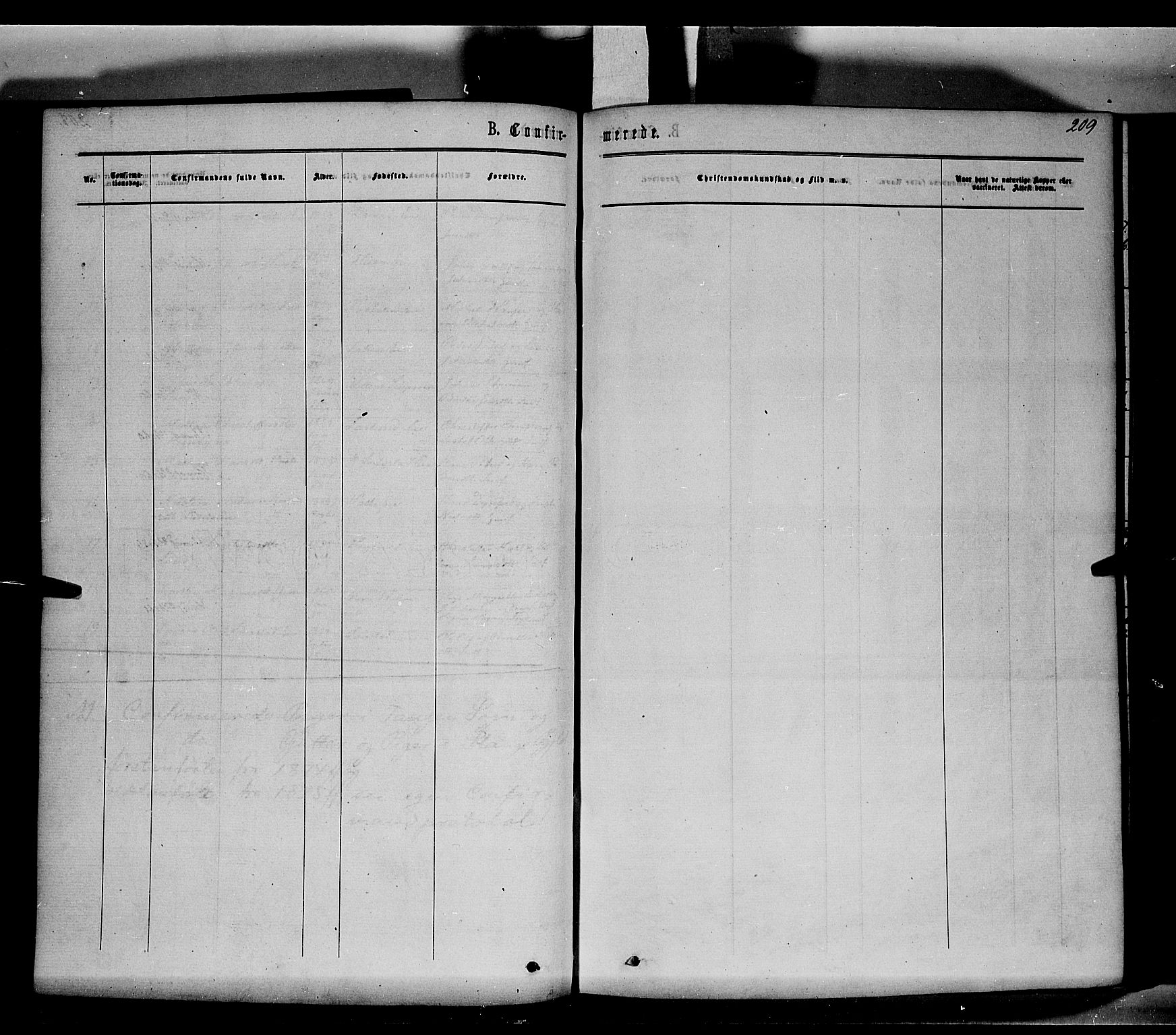 Stange prestekontor, AV/SAH-PREST-002/K/L0013: Parish register (official) no. 13, 1862-1879, p. 209