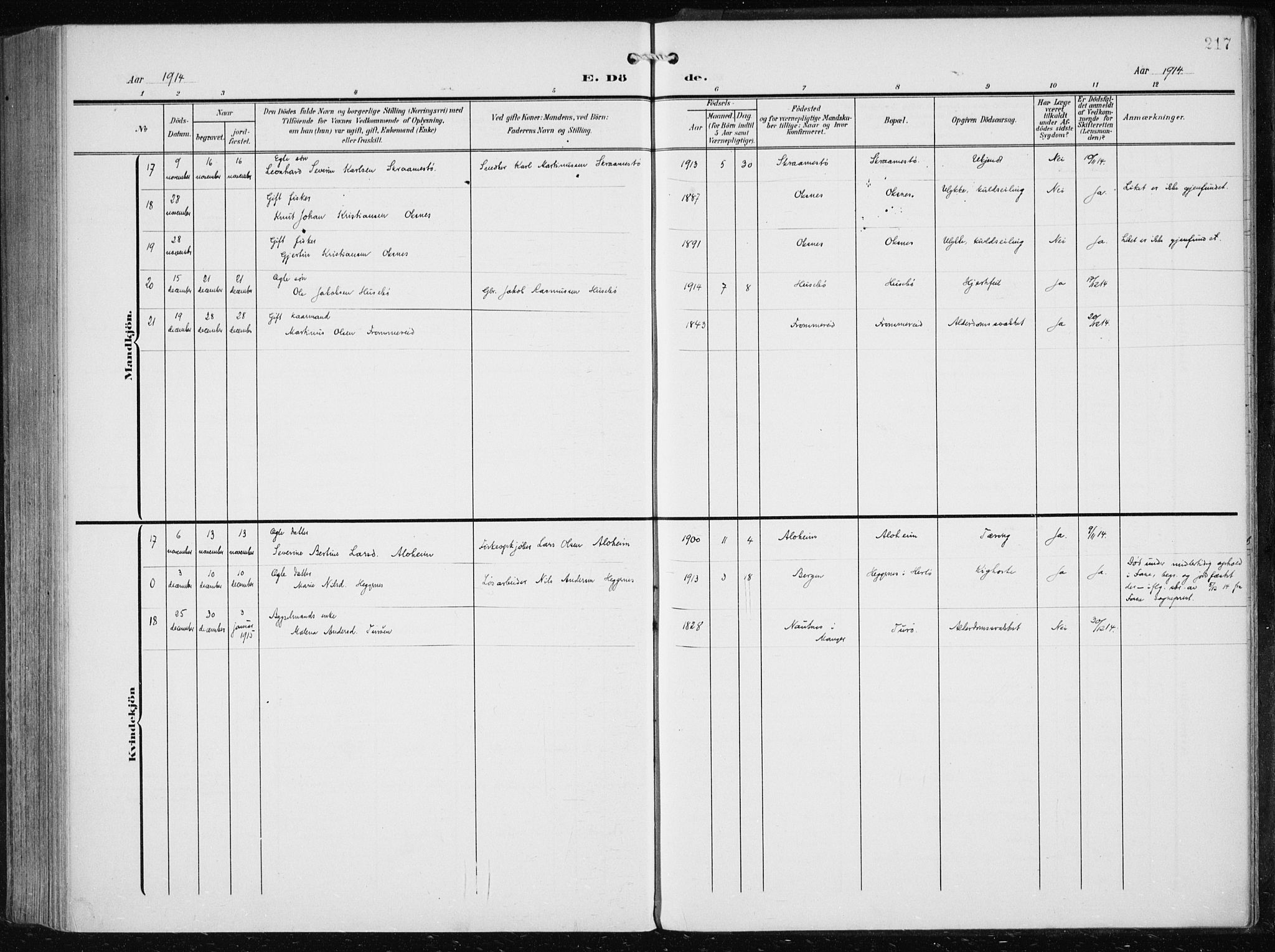 Herdla Sokneprestembete, AV/SAB-A-75701/H/Haa: Parish register (official) no. A 5, 1905-1918, p. 217