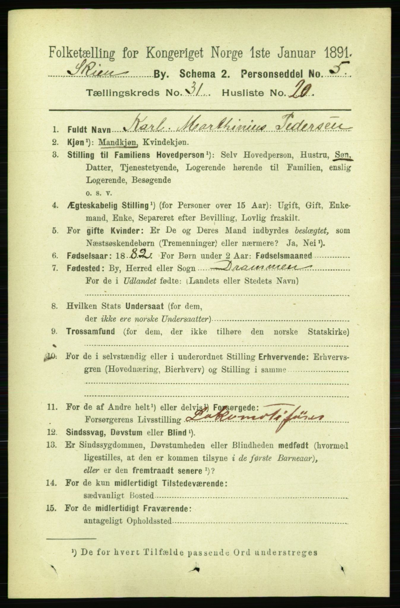 RA, 1891 census for 0806 Skien, 1891, p. 7203