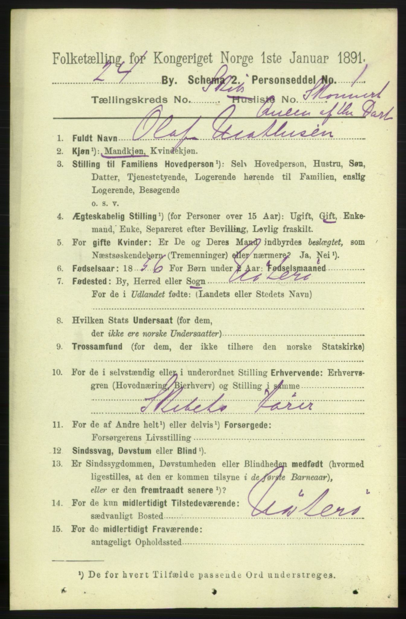 RA, 1891 census for 0707 Larvik, 1891, p. 13945