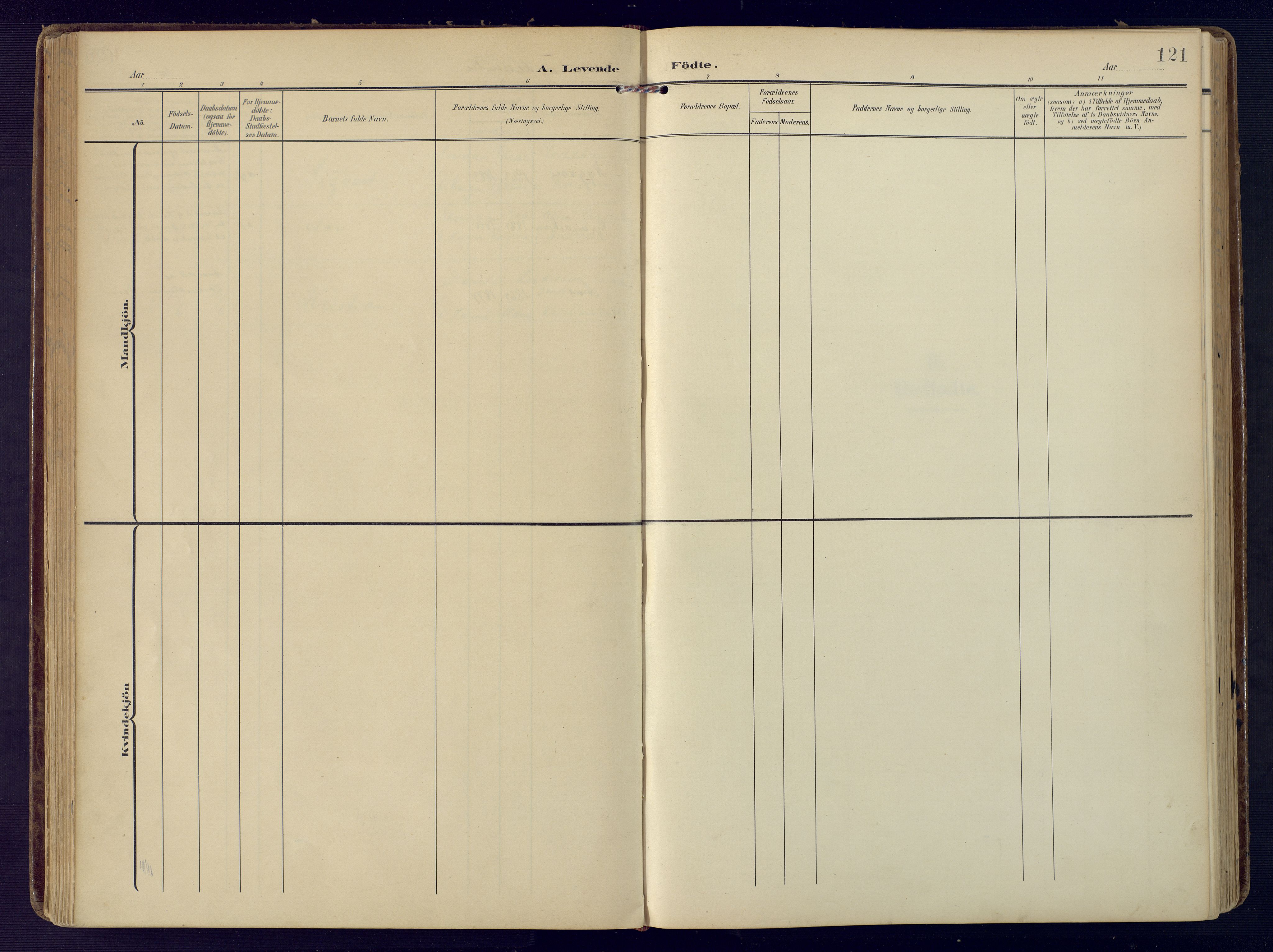 Birkenes sokneprestkontor, AV/SAK-1111-0004/F/Fa/L0006: Parish register (official) no. A 6, 1908-1932, p. 121