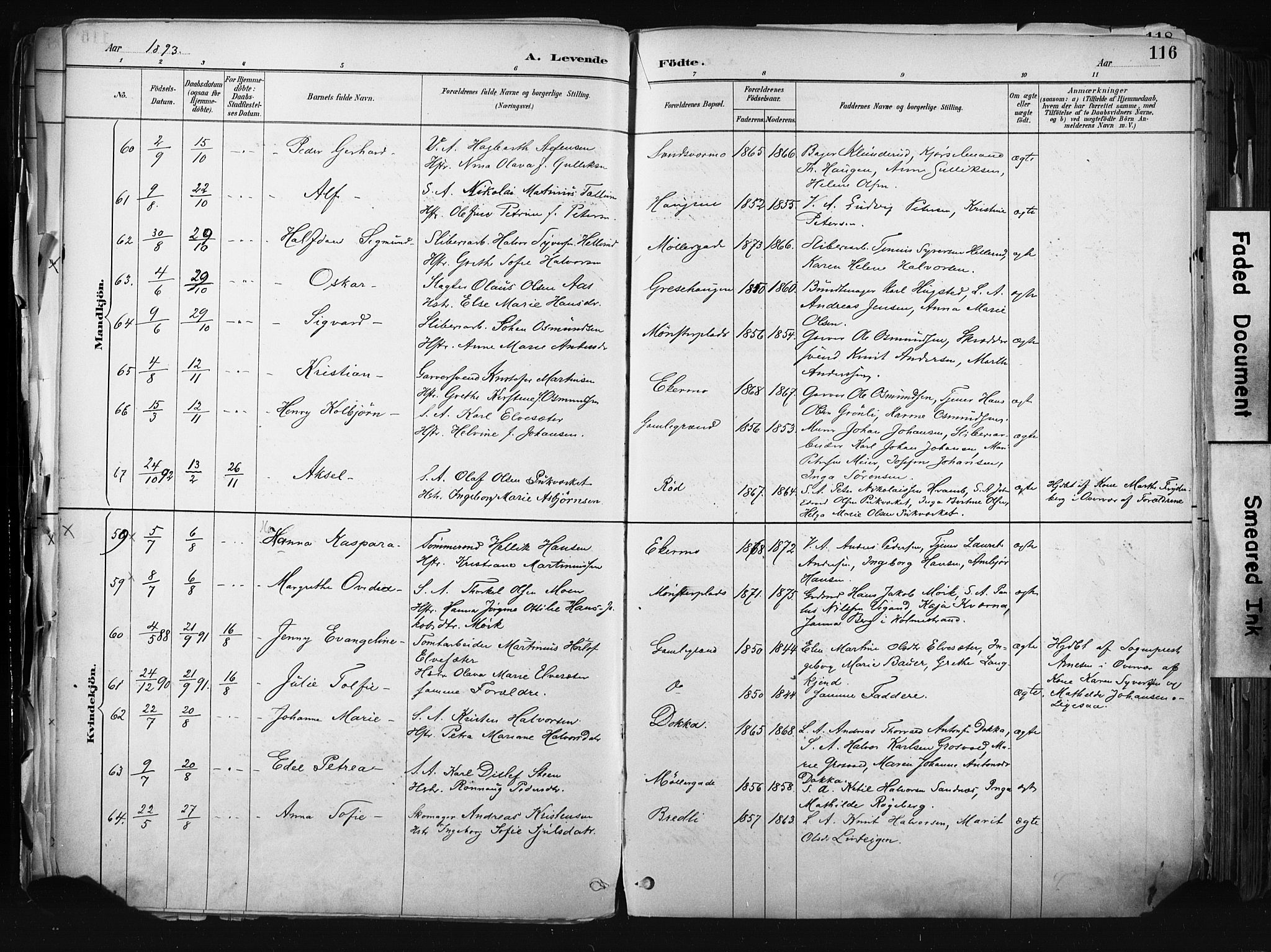 Kongsberg kirkebøker, AV/SAKO-A-22/F/Fb/L0002: Parish register (official) no. II 2, 1886-1896, p. 116