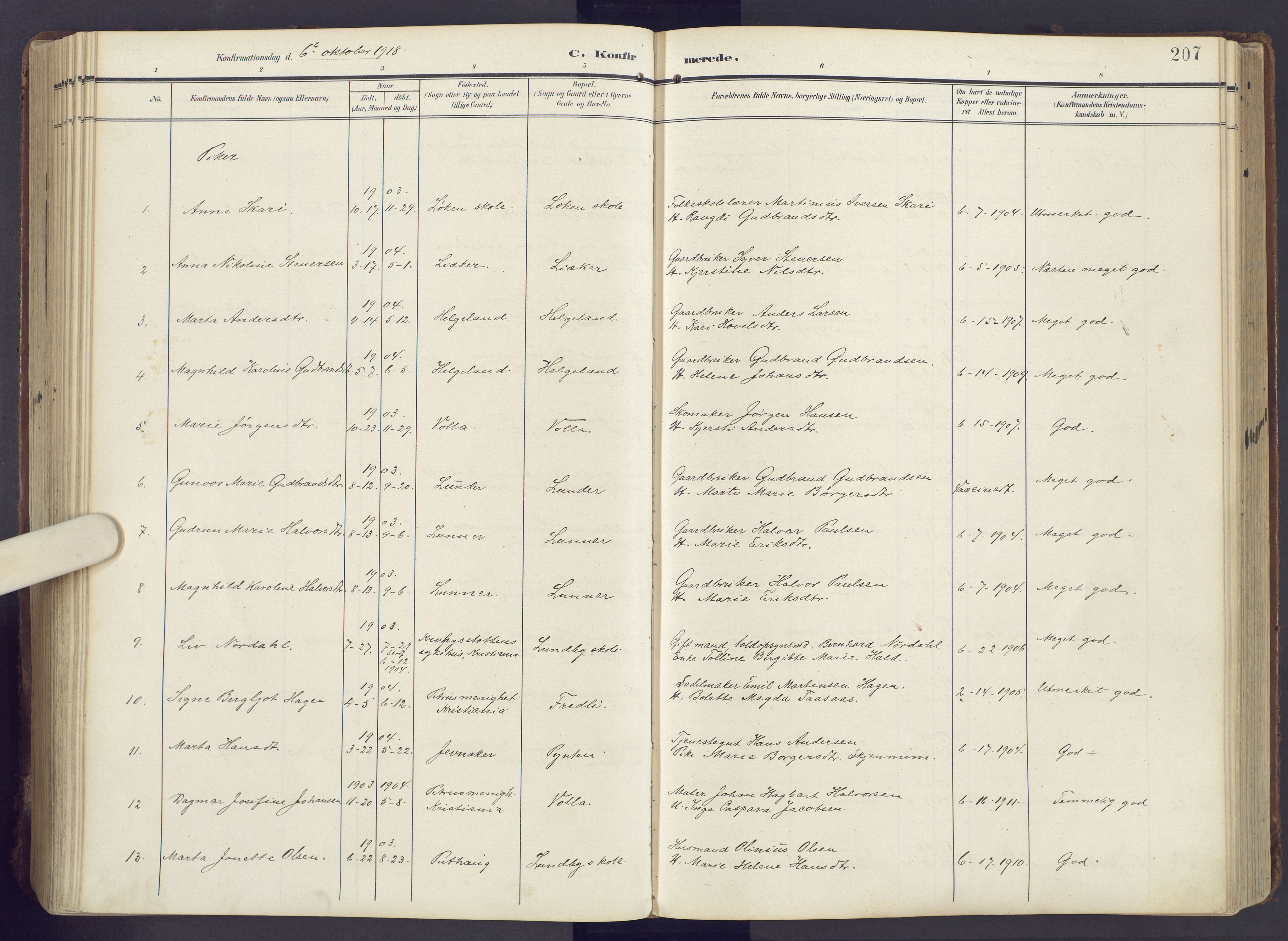 Lunner prestekontor, AV/SAH-PREST-118/H/Ha/Haa/L0001: Parish register (official) no. 1, 1907-1922, p. 207