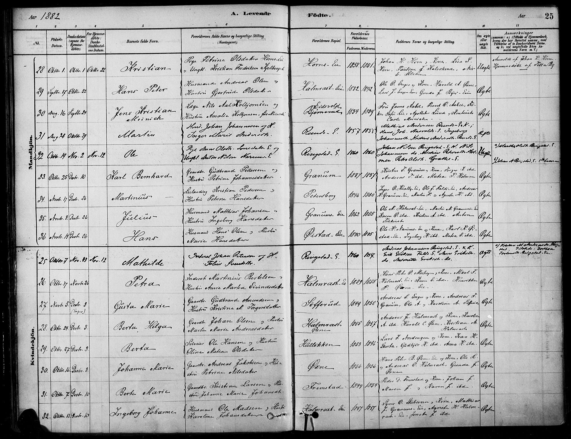 Søndre Land prestekontor, AV/SAH-PREST-122/K/L0003: Parish register (official) no. 3, 1878-1894, p. 25