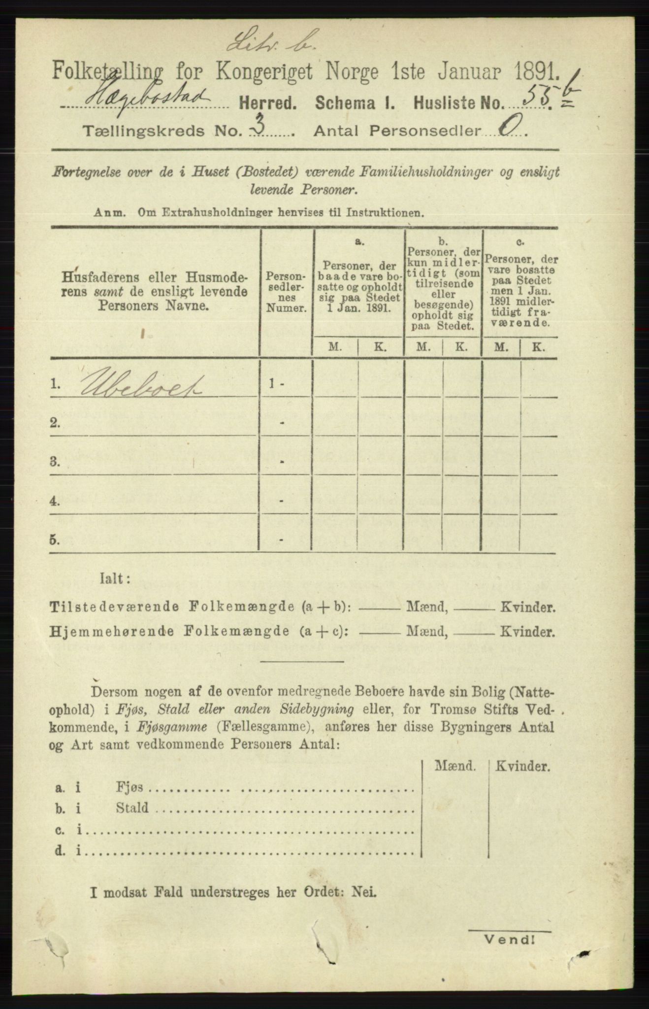 RA, 1891 census for 1034 Hægebostad, 1891, p. 873