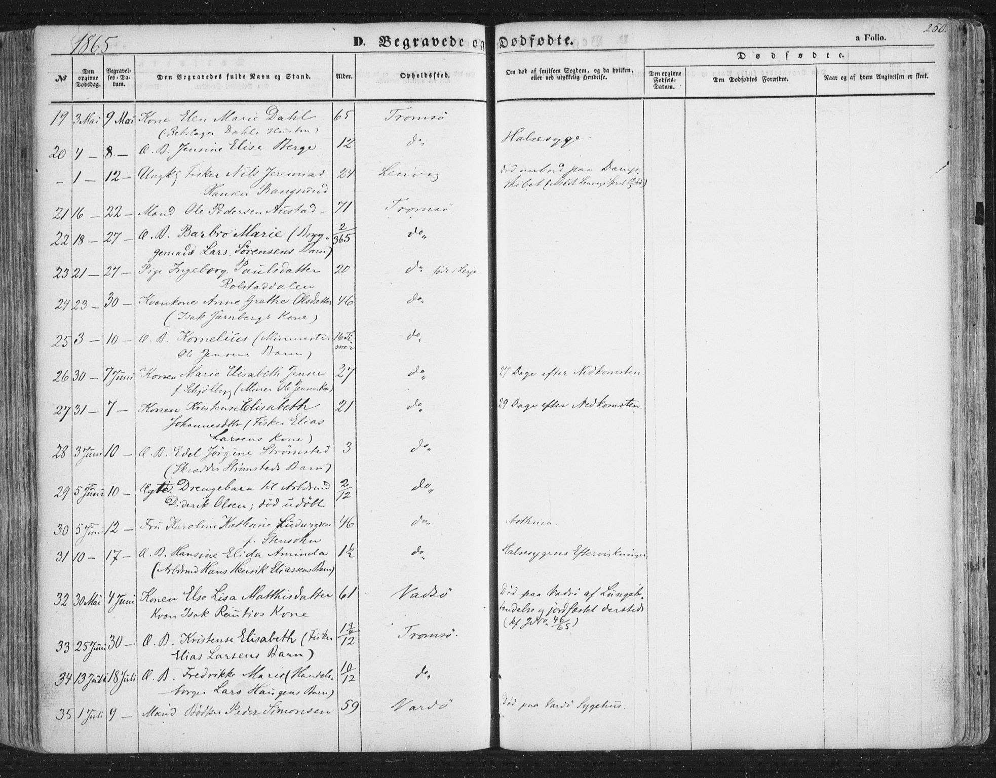 Tromsø sokneprestkontor/stiftsprosti/domprosti, AV/SATØ-S-1343/G/Ga/L0011kirke: Parish register (official) no. 11, 1856-1865, p. 250