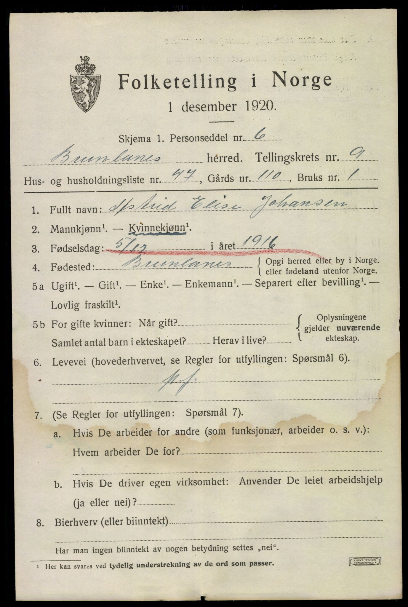 SAKO, 1920 census for Brunlanes, 1920, p. 8313
