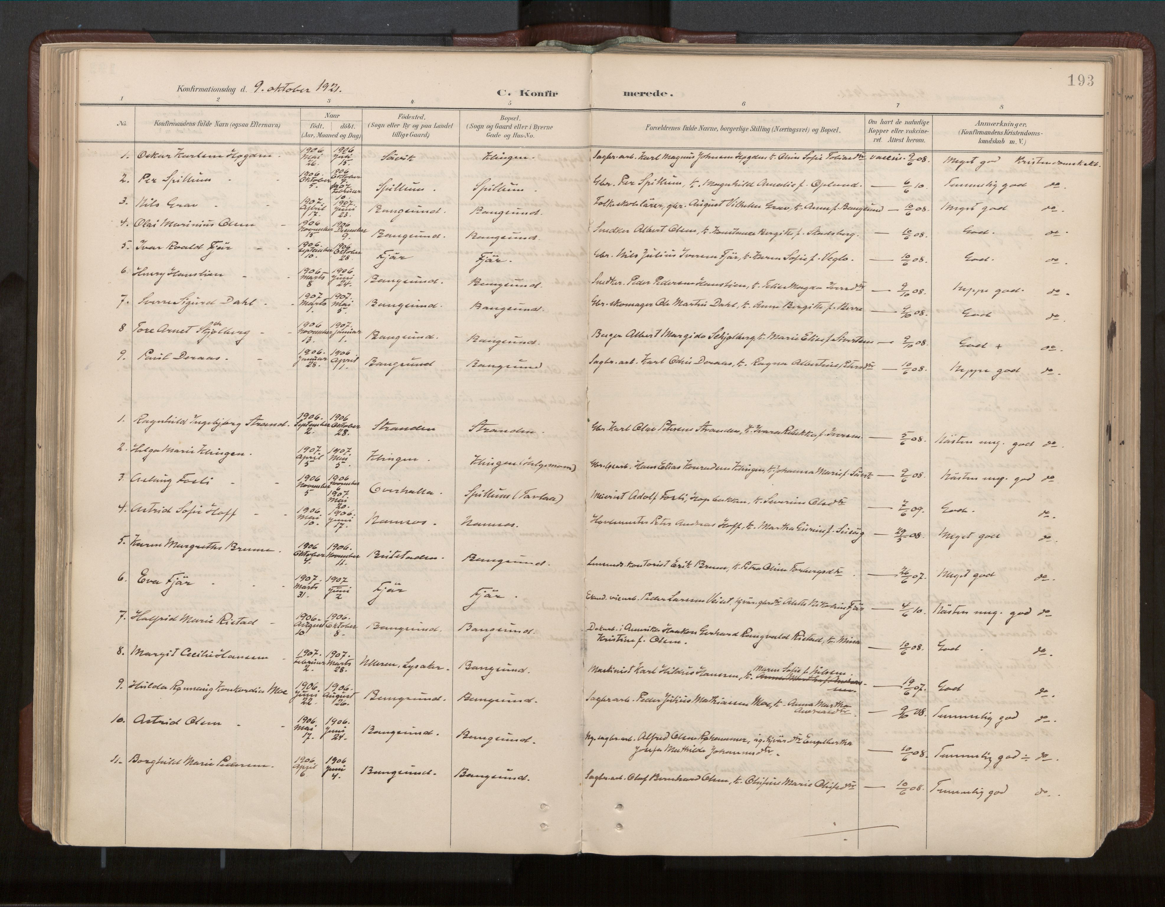 Ministerialprotokoller, klokkerbøker og fødselsregistre - Nord-Trøndelag, SAT/A-1458/770/L0589: Parish register (official) no. 770A03, 1887-1929, p. 193