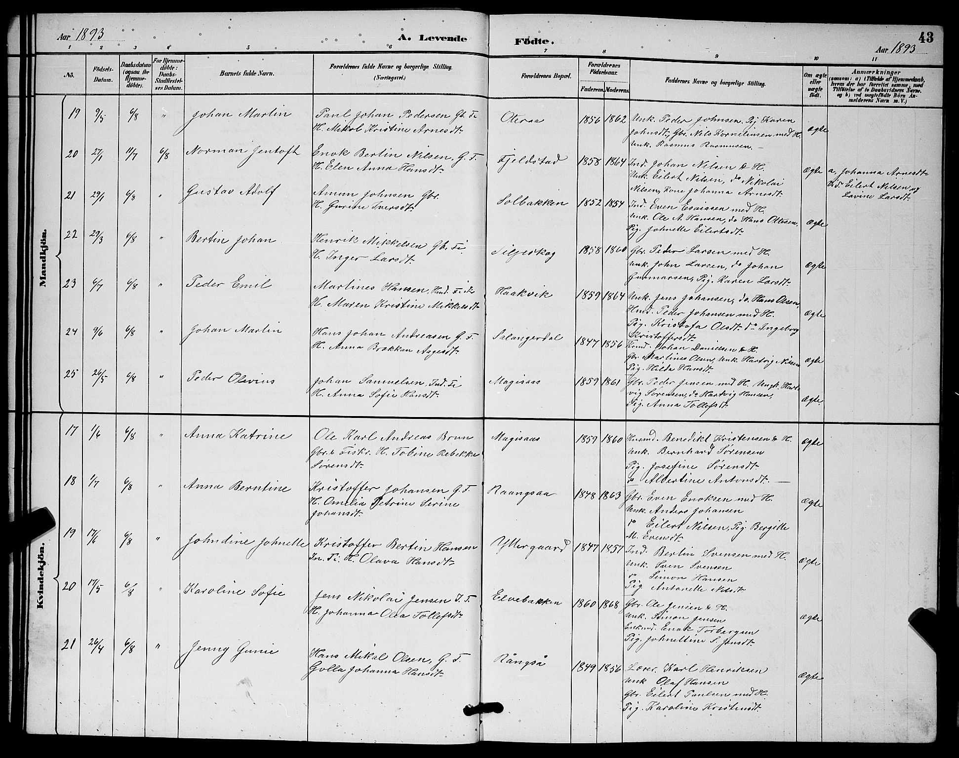 Ibestad sokneprestembete, AV/SATØ-S-0077/H/Ha/Hab/L0015klokker: Parish register (copy) no. 15, 1888-1899, p. 43