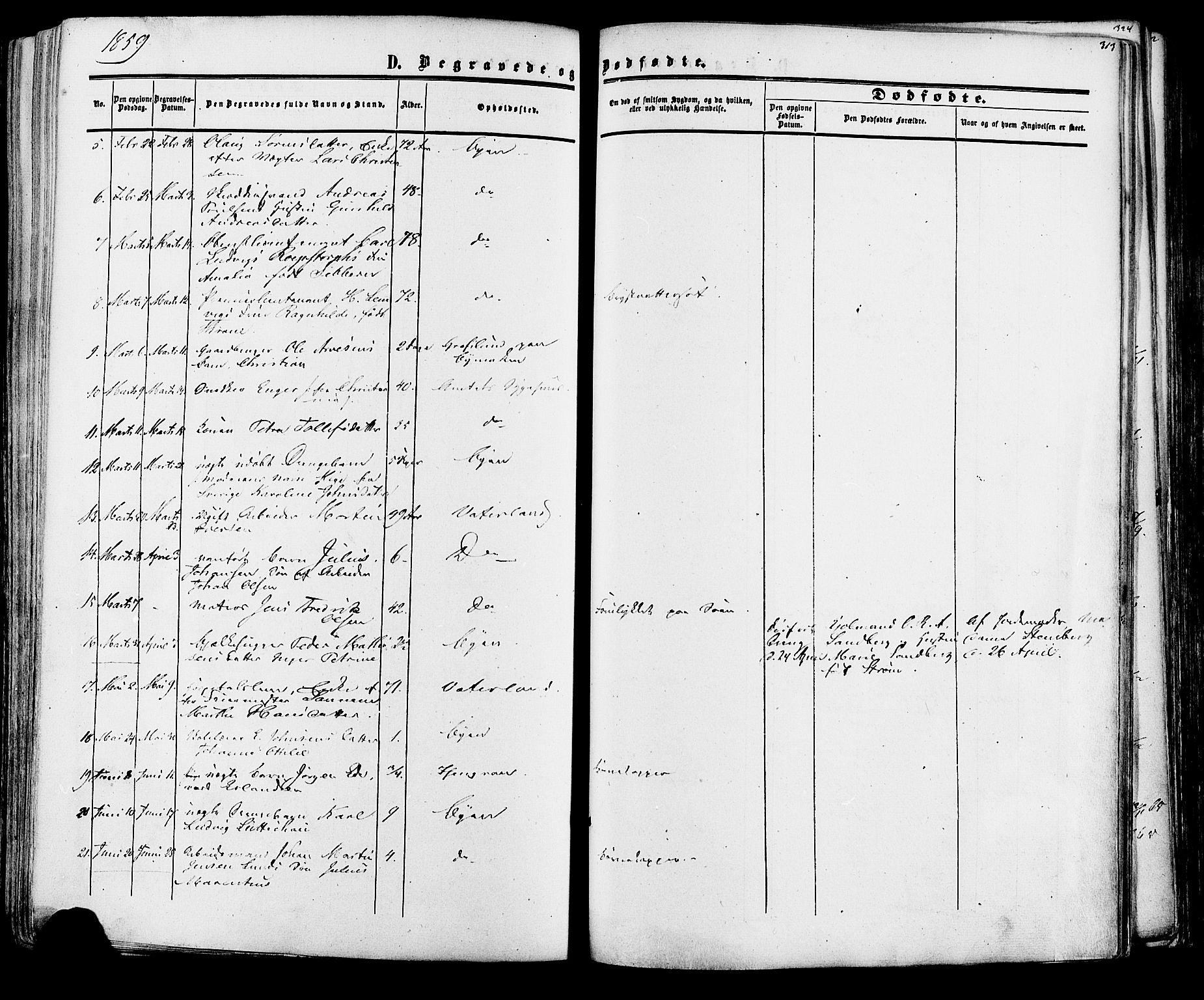 Fredrikstad prestekontor Kirkebøker, SAO/A-11082/F/Fa/L0006: Parish register (official) no. 6, 1857-1878, p. 313