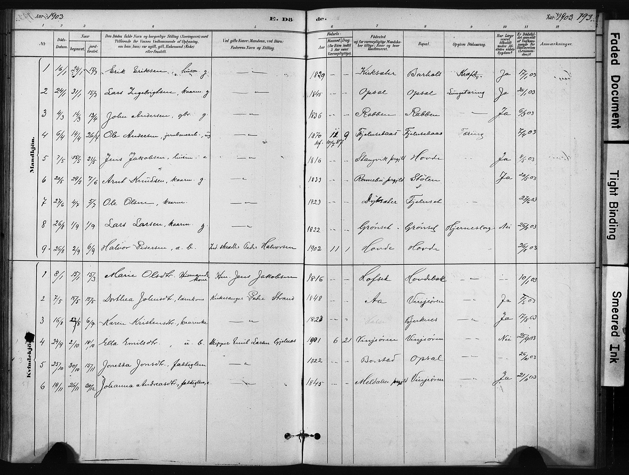 Ministerialprotokoller, klokkerbøker og fødselsregistre - Sør-Trøndelag, SAT/A-1456/631/L0512: Parish register (official) no. 631A01, 1879-1912, p. 193