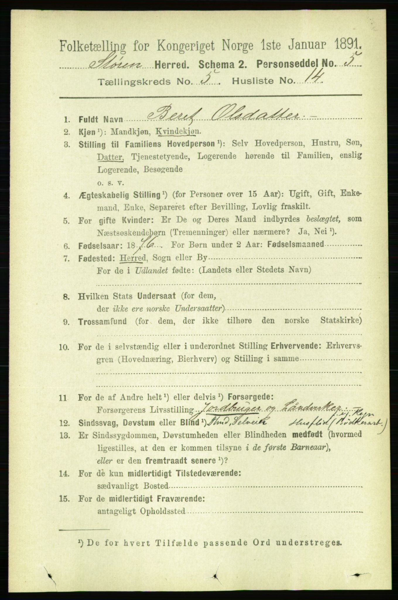 RA, 1891 census for 1648 Støren, 1891, p. 2019