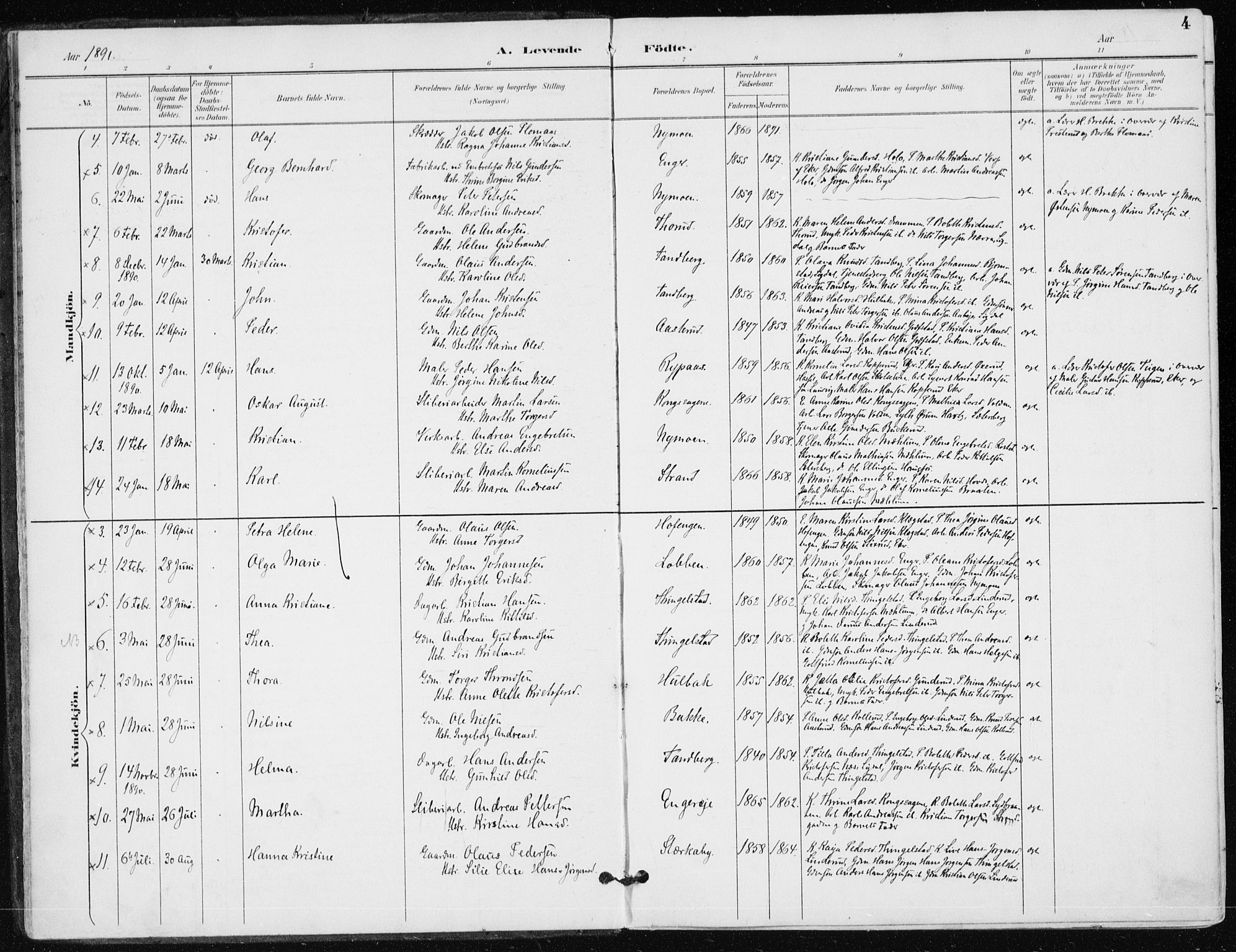 Modum kirkebøker, AV/SAKO-A-234/F/Fa/L0016: Parish register (official) no. 16, 1890-1899, p. 4