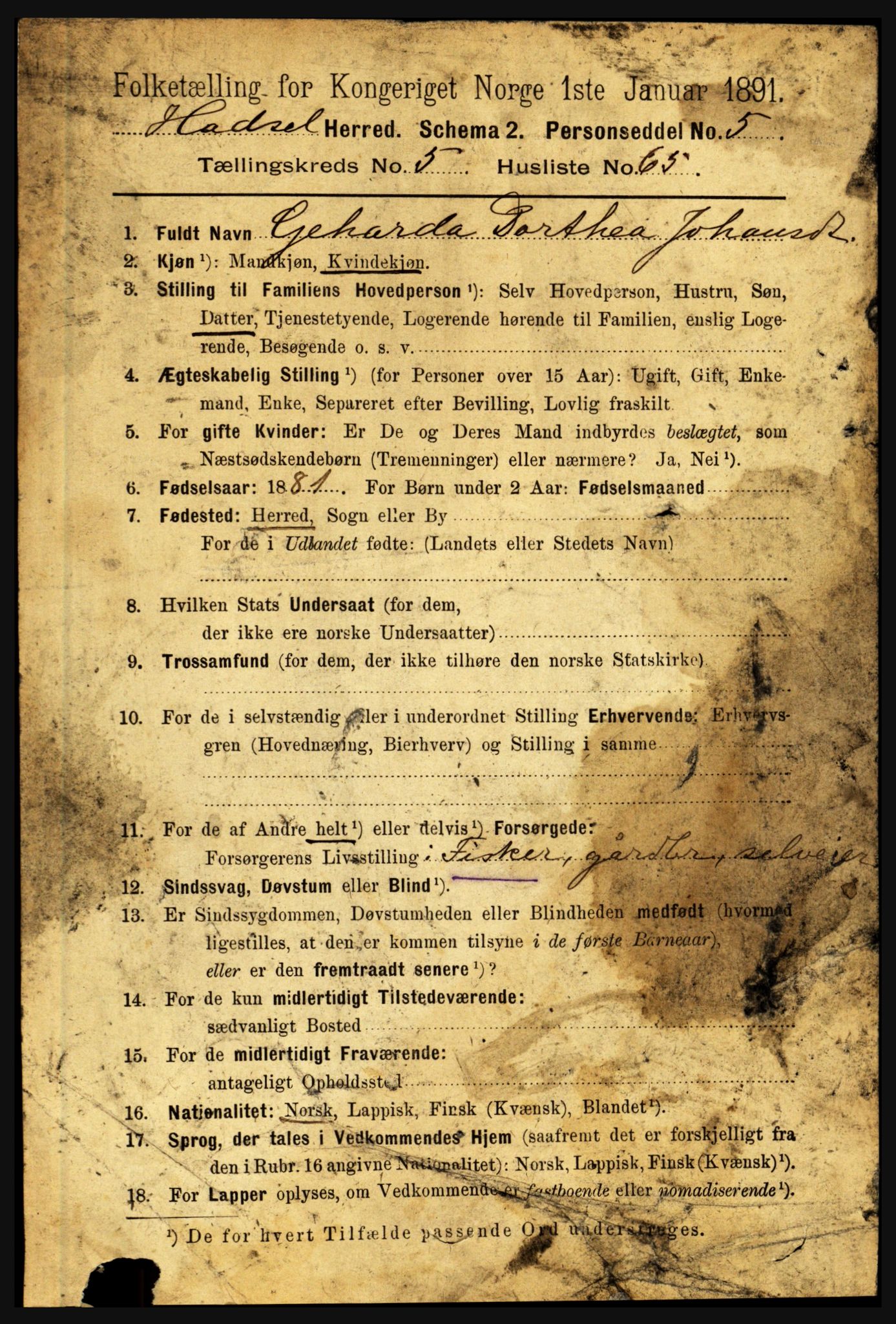 RA, 1891 census for 1866 Hadsel, 1891, p. 2573