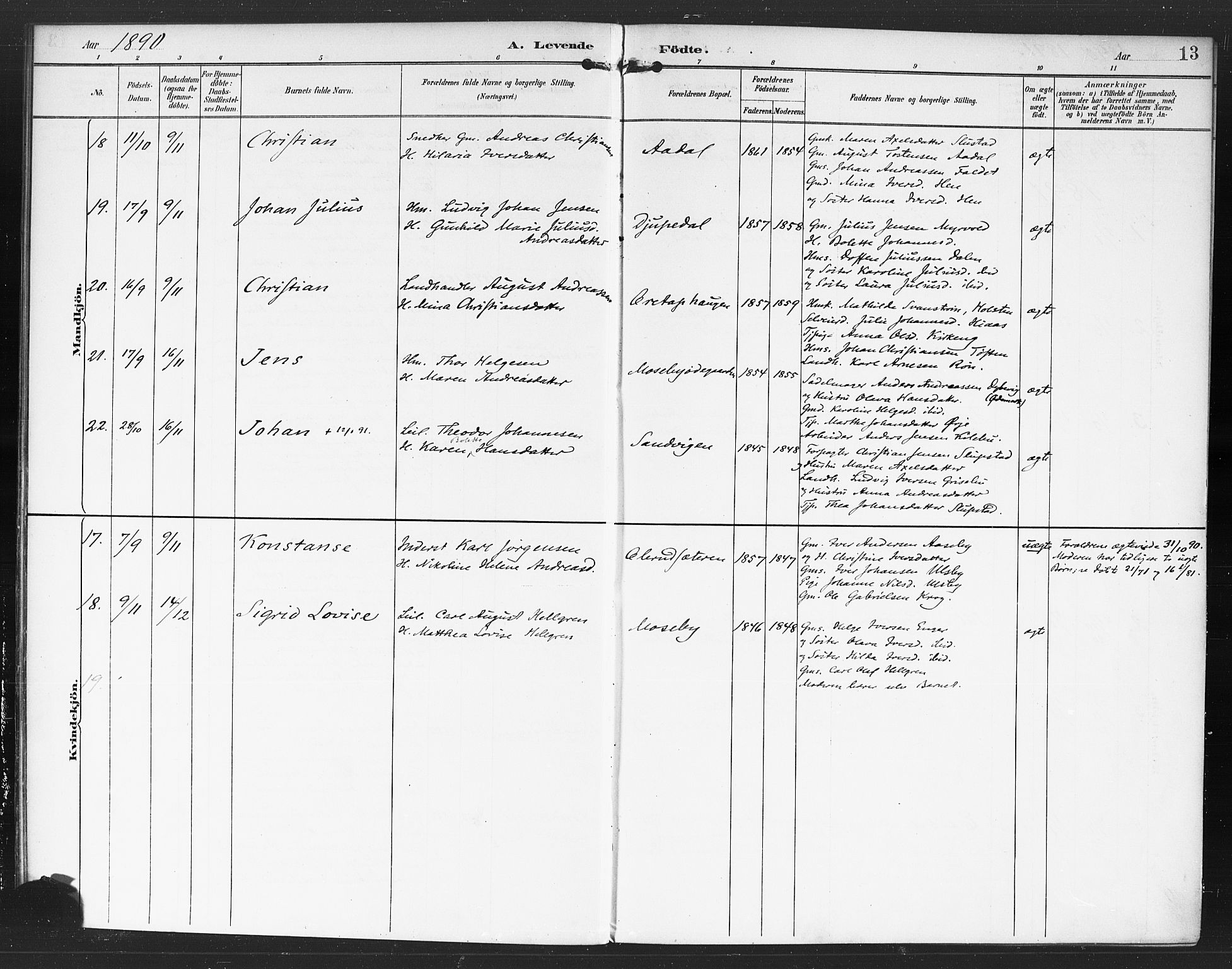 Rødenes prestekontor Kirkebøker, AV/SAO-A-2005/F/Fa/L0010: Parish register (official) no. I 10, 1890-1900, p. 13