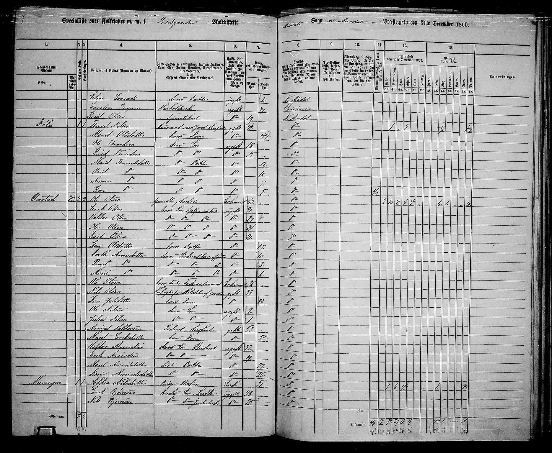 RA, 1865 census for Nord-Aurdal, 1865, p. 185