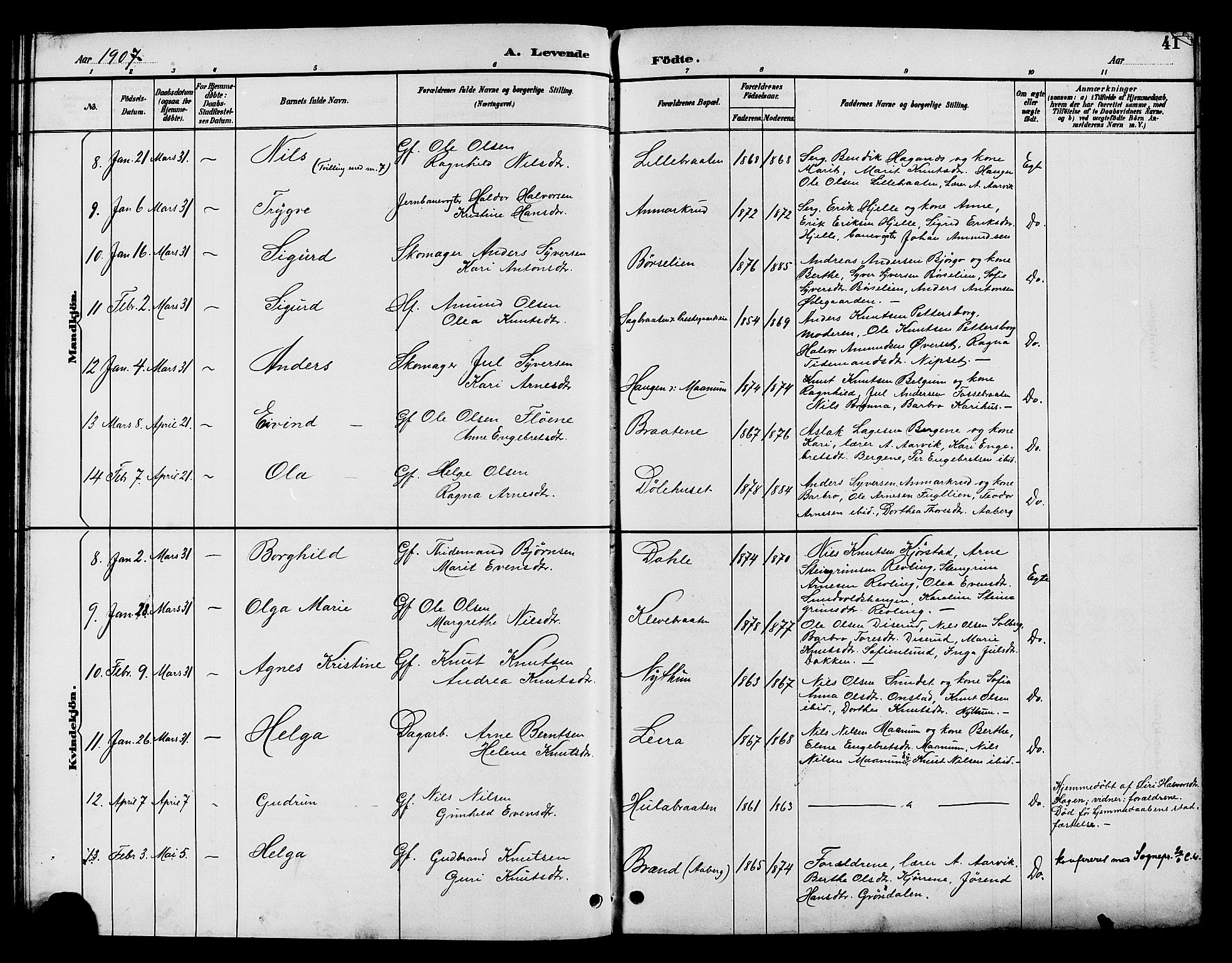 Nord-Aurdal prestekontor, AV/SAH-PREST-132/H/Ha/Hab/L0010: Parish register (copy) no. 10, 1892-1907, p. 41