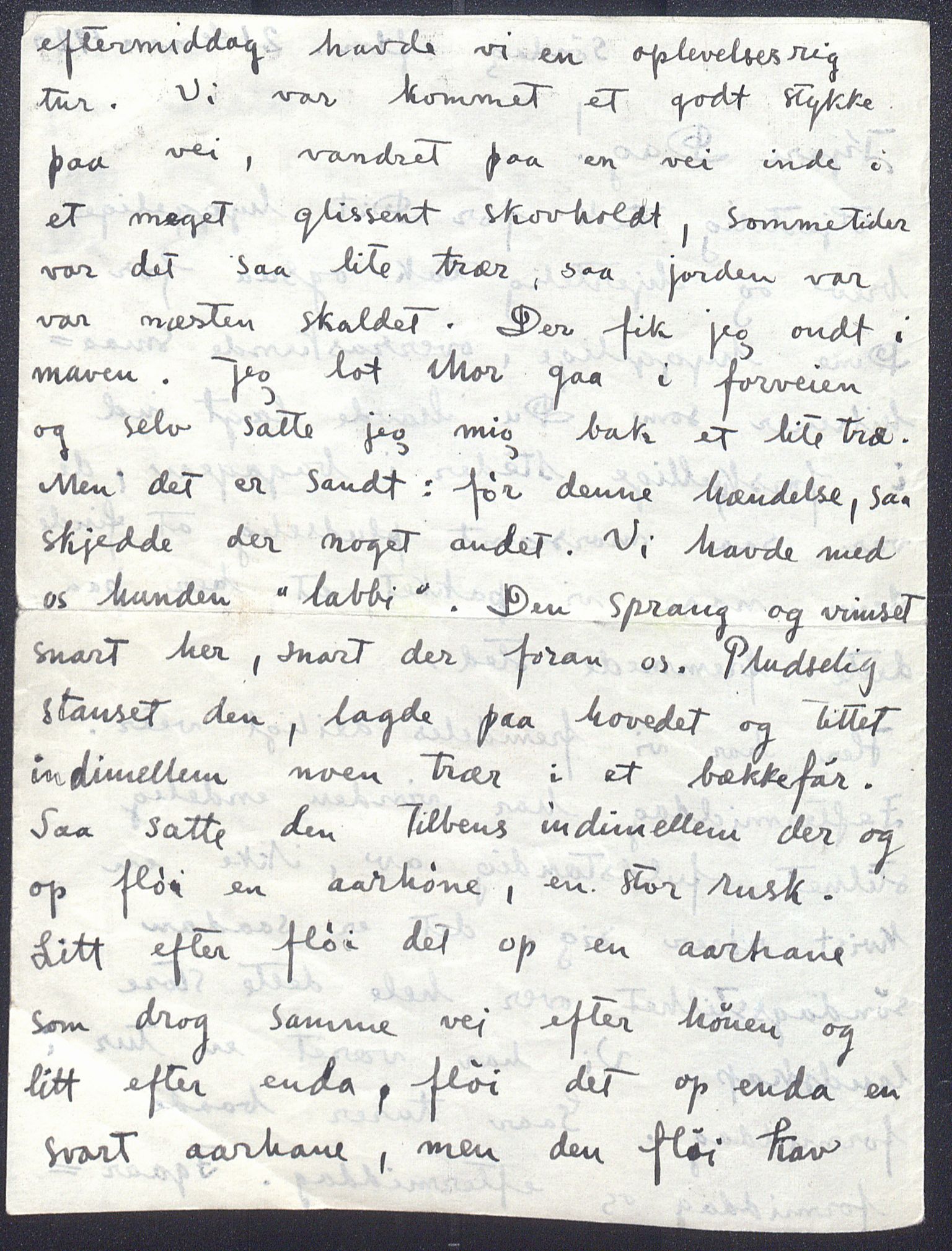 Harald Sohlberg, NMFK/NMFK-1057/D/L0001: Illustrerte brev fra Harald Sohlberg (1869-1935) til sønnen Dag Sohlberg, 1920-1928, p. 2