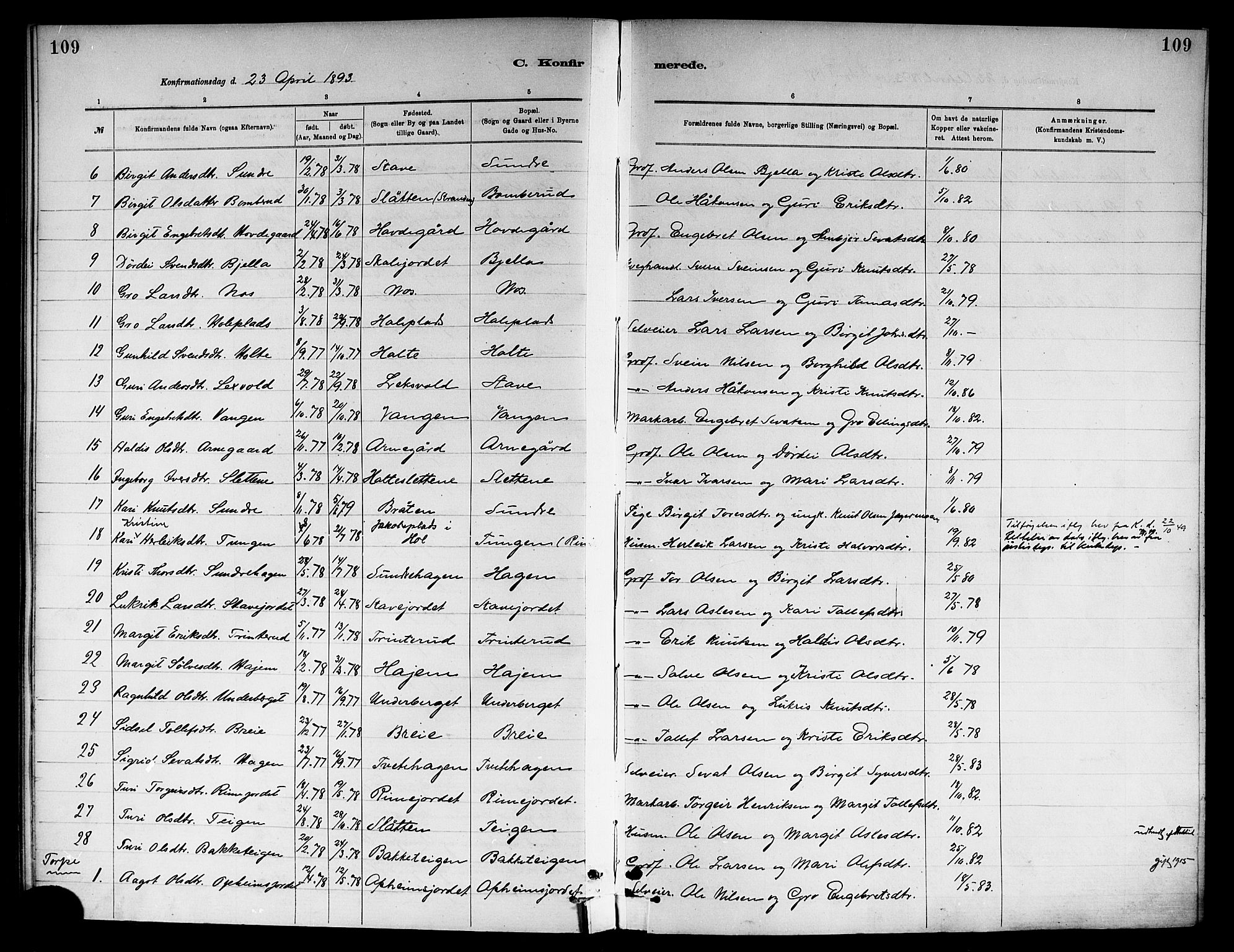 Ål kirkebøker, AV/SAKO-A-249/F/Fa/L0008: Parish register (official) no. I 8, 1882-1896, p. 109