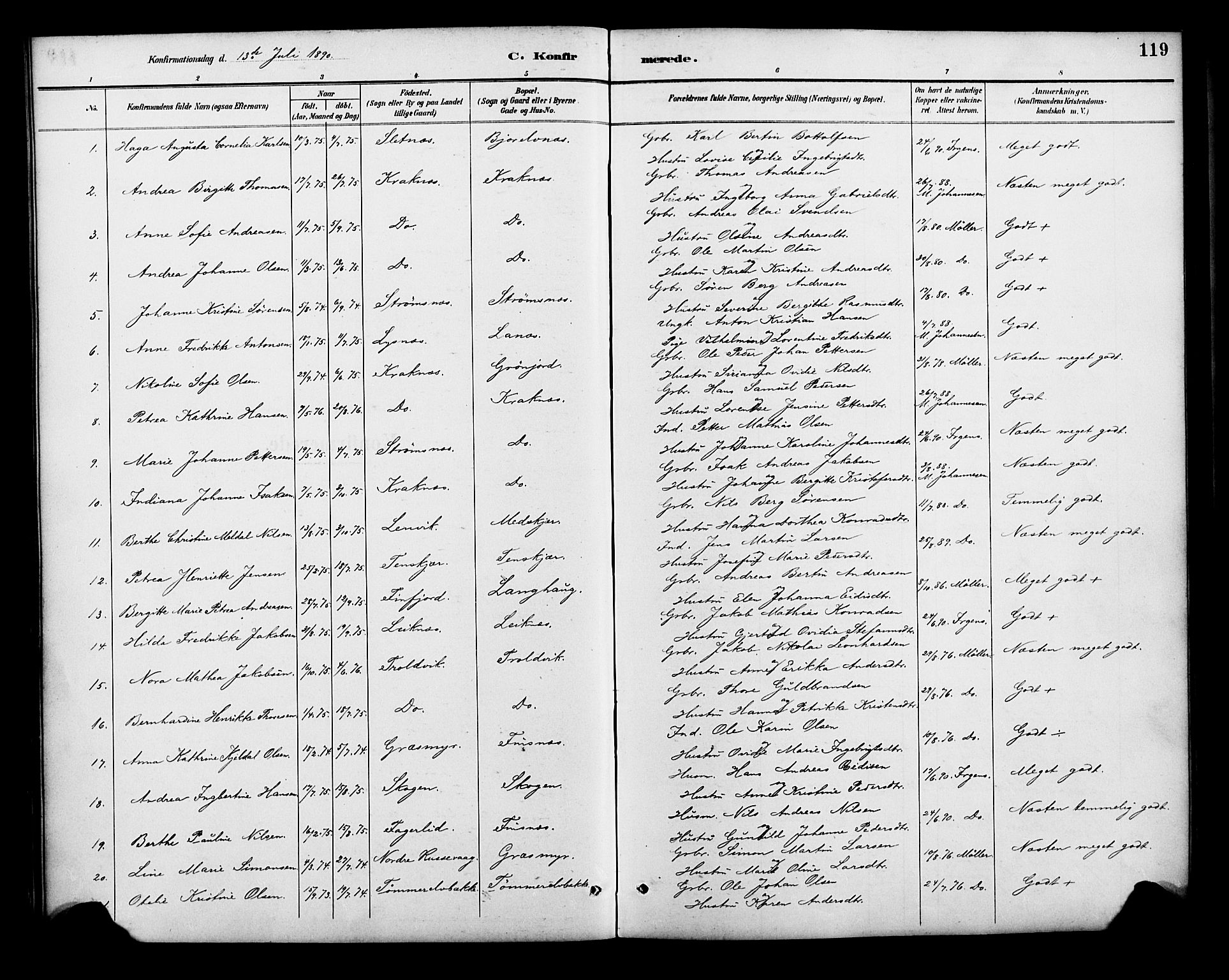 Lenvik sokneprestembete, SATØ/S-1310/H/Ha/Haa/L0013kirke: Parish register (official) no. 13, 1890-1898, p. 119