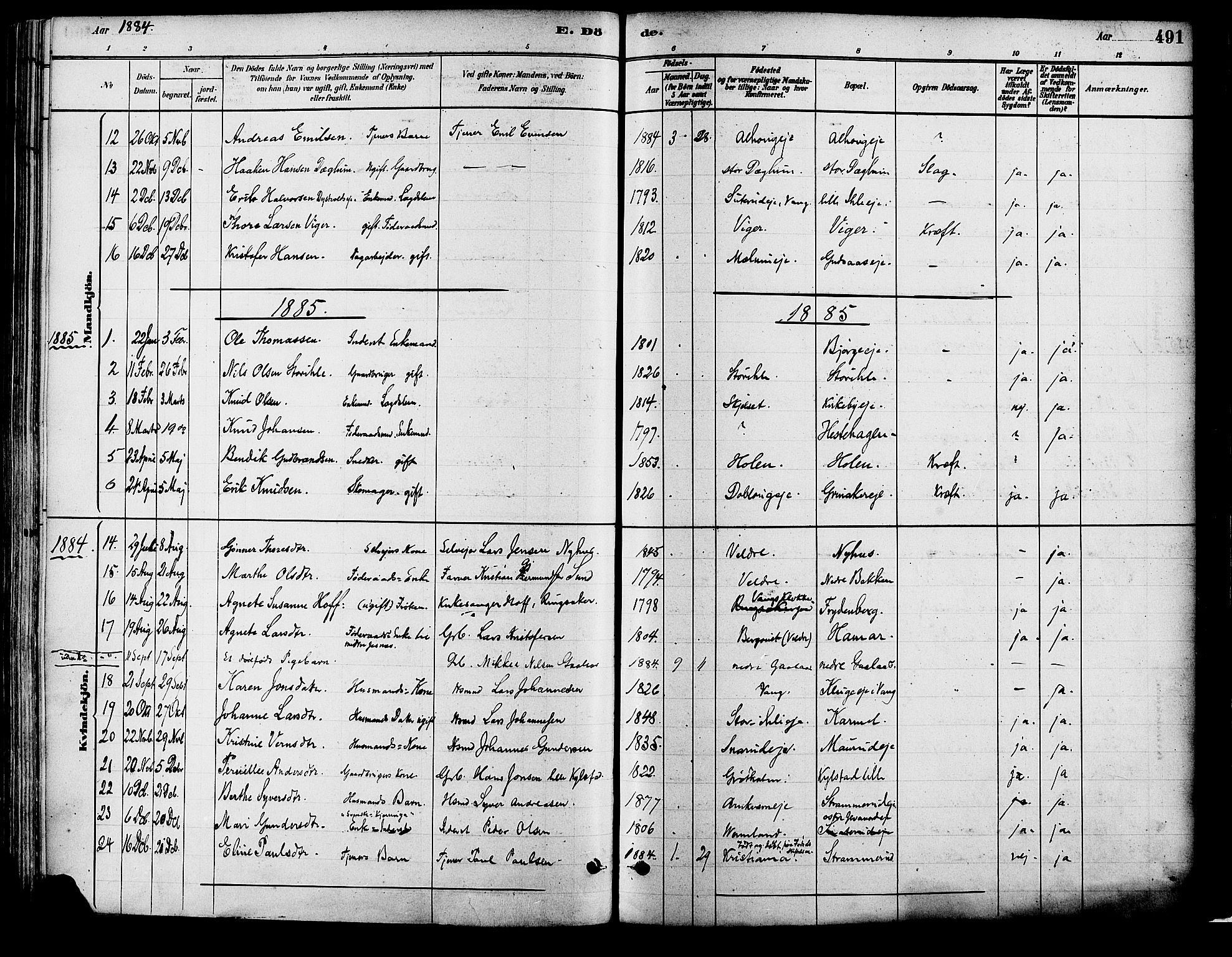 Vang prestekontor, Hedmark, SAH/PREST-008/H/Ha/Haa/L0018B: Parish register (official) no. 18B, 1880-1906, p. 491