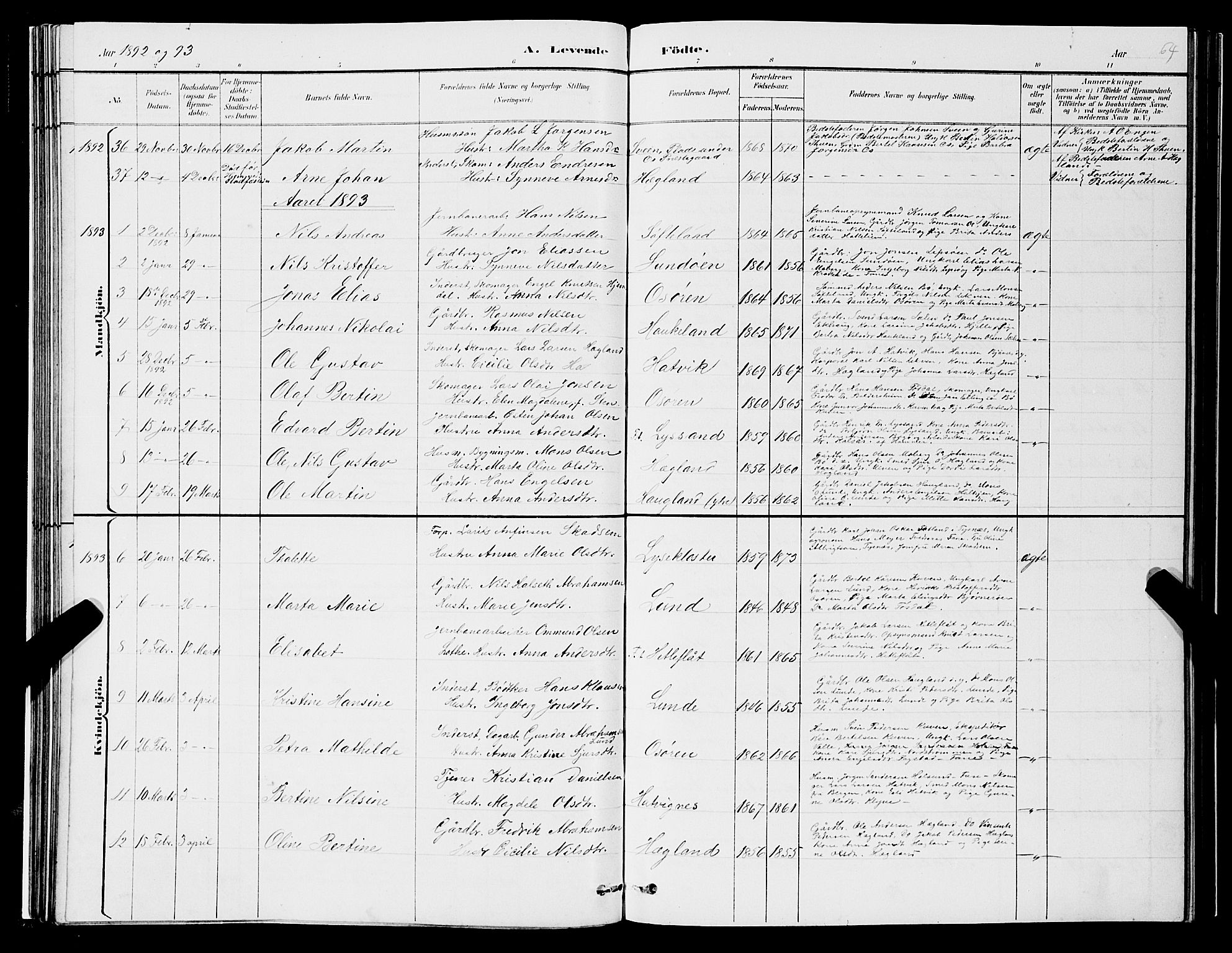 Os sokneprestembete, AV/SAB-A-99929: Parish register (copy) no. A 2, 1880-1896, p. 64