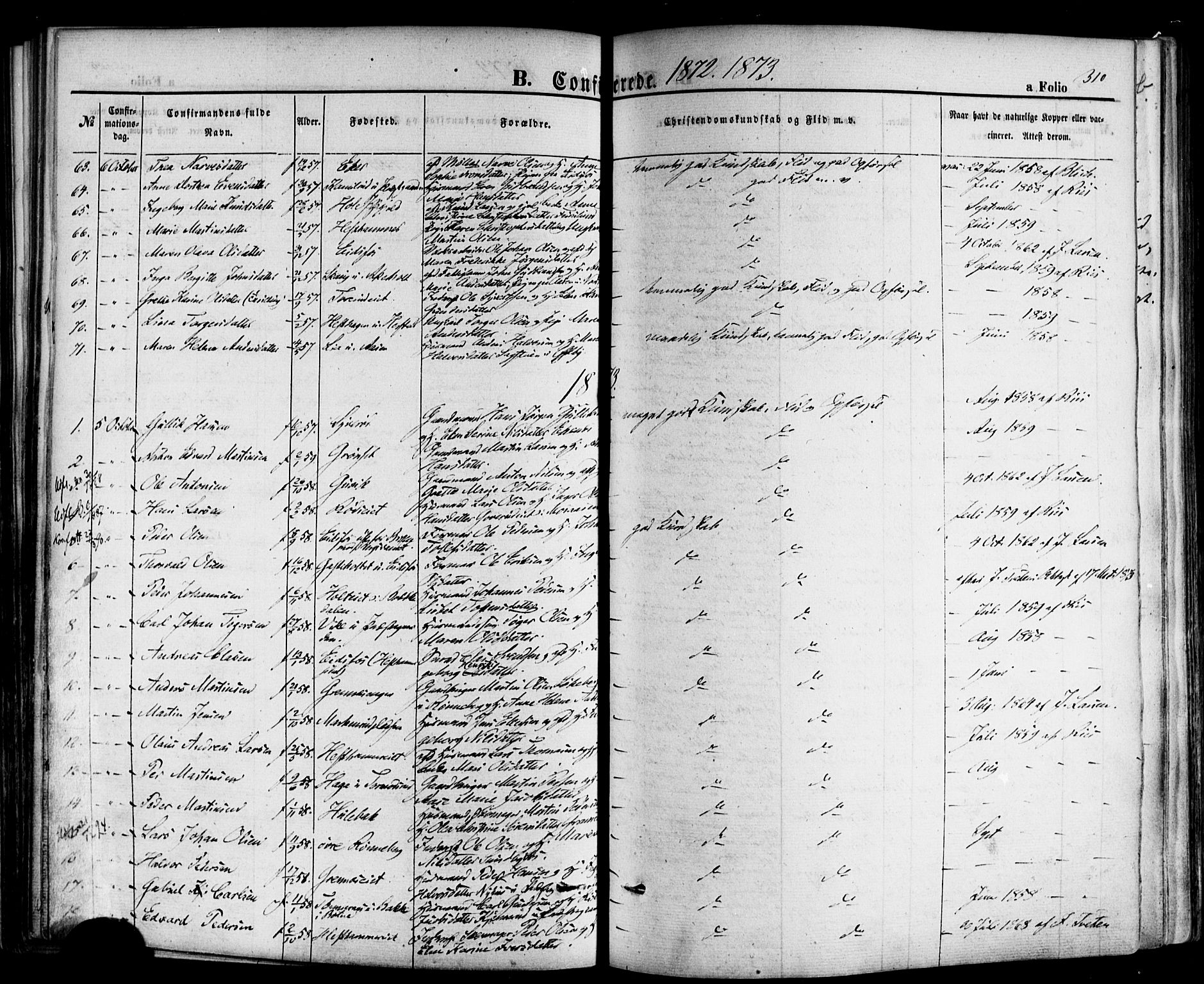 Hof kirkebøker, AV/SAKO-A-64/F/Fa/L0006: Parish register (official) no. I 6, 1851-1877, p. 310