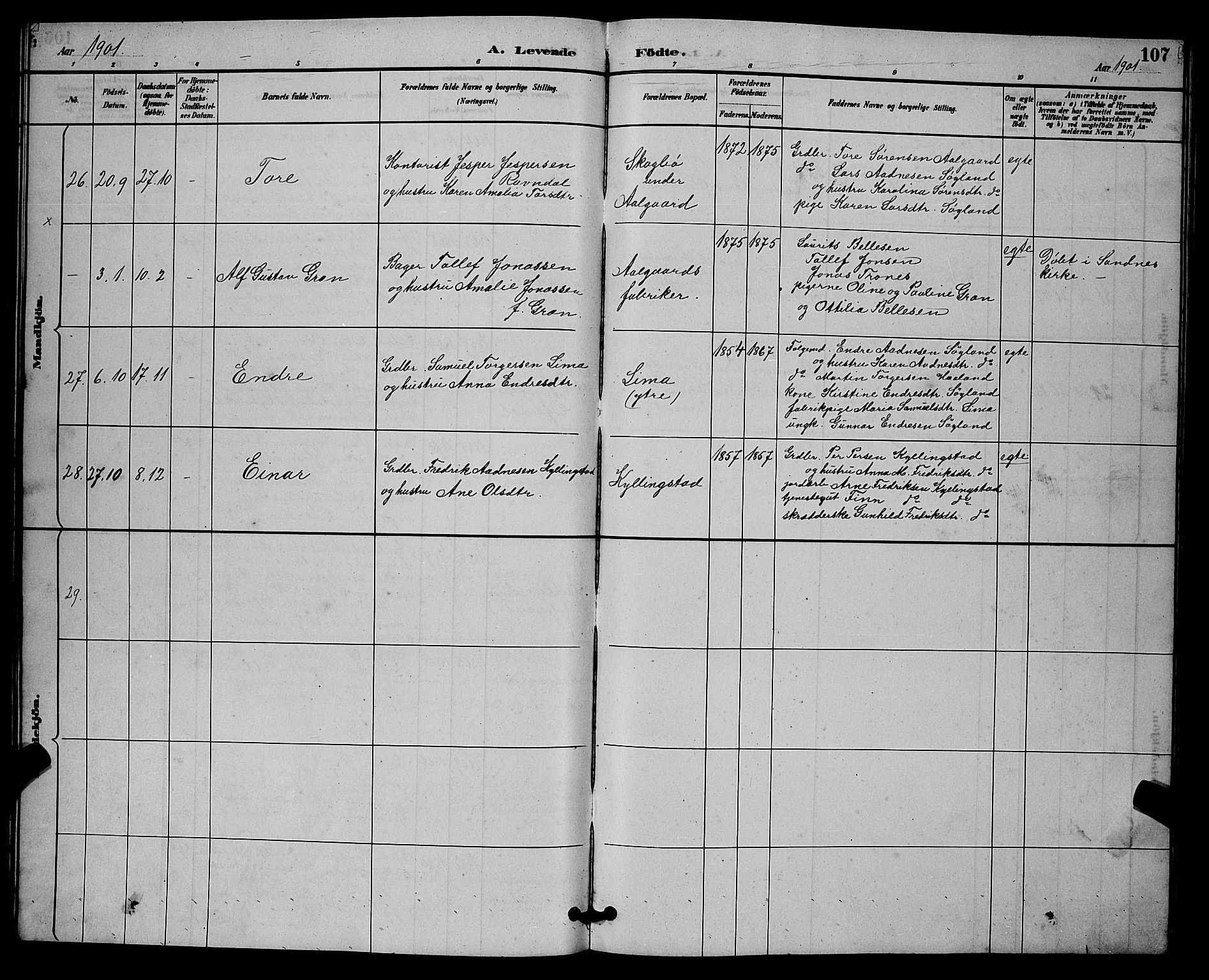 Lye sokneprestkontor, AV/SAST-A-101794/001/30BB/L0008: Parish register (copy) no. B 7, 1887-1901, p. 107