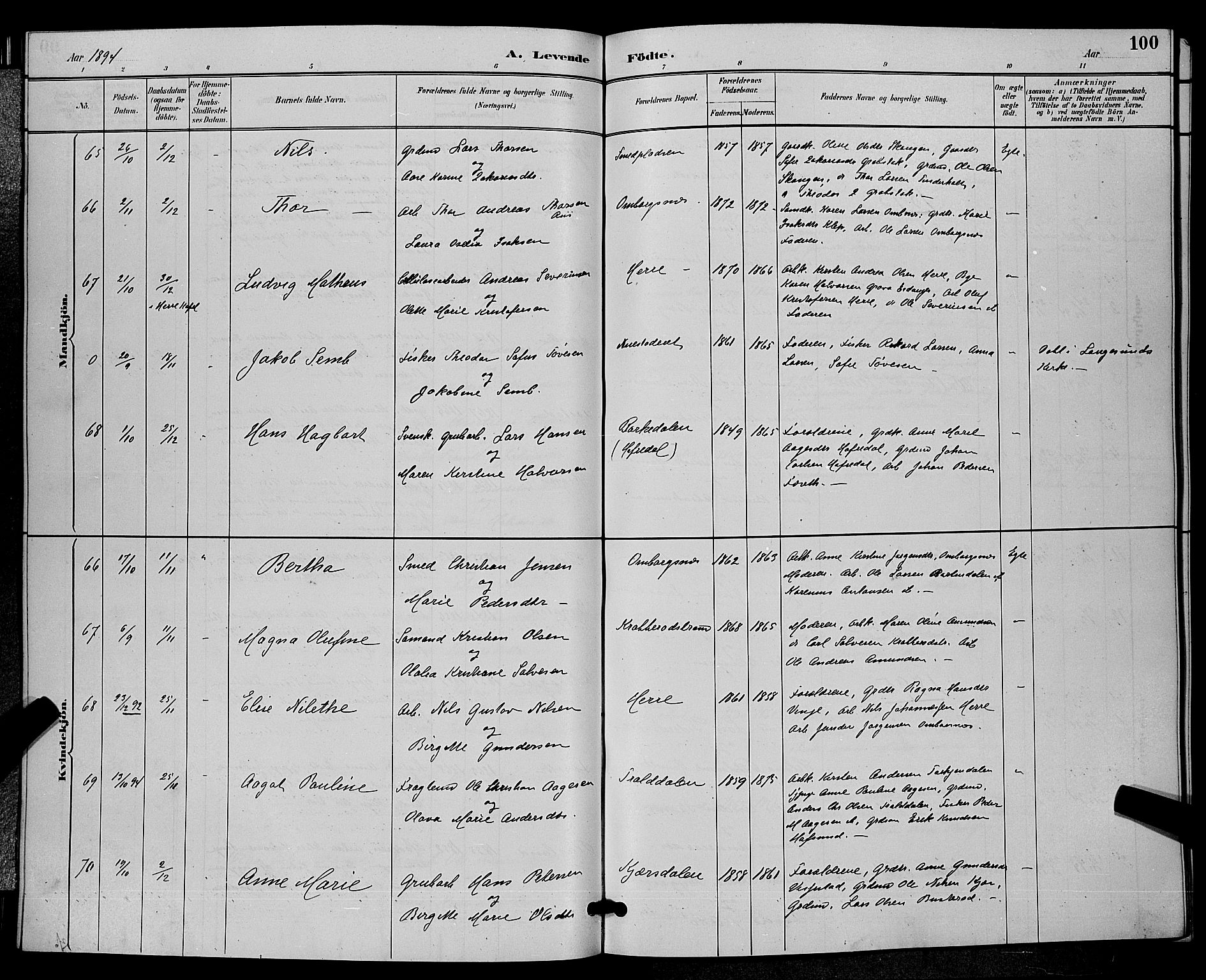Bamble kirkebøker, SAKO/A-253/G/Ga/L0009: Parish register (copy) no. I 9, 1888-1900, p. 100
