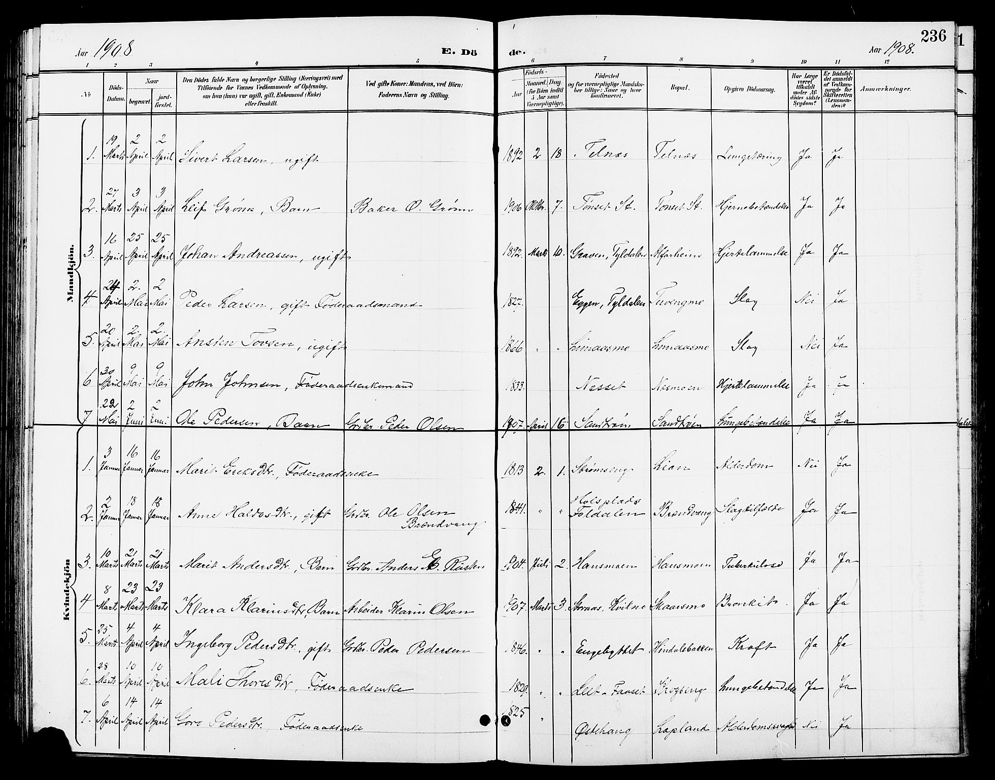 Tynset prestekontor, SAH/PREST-058/H/Ha/Hab/L0009: Parish register (copy) no. 9, 1900-1914, p. 236