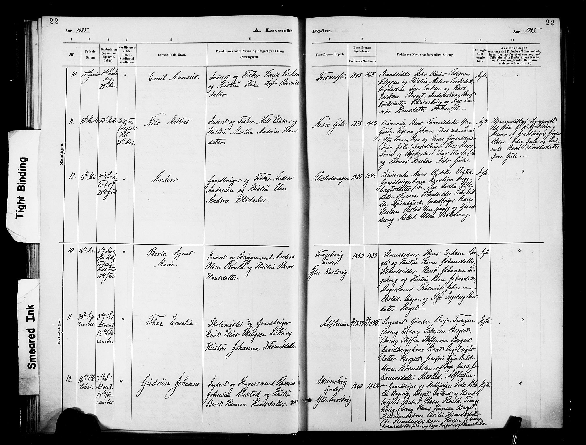 Ministerialprotokoller, klokkerbøker og fødselsregistre - Møre og Romsdal, AV/SAT-A-1454/566/L0769: Parish register (official) no. 566A08, 1881-1903, p. 22