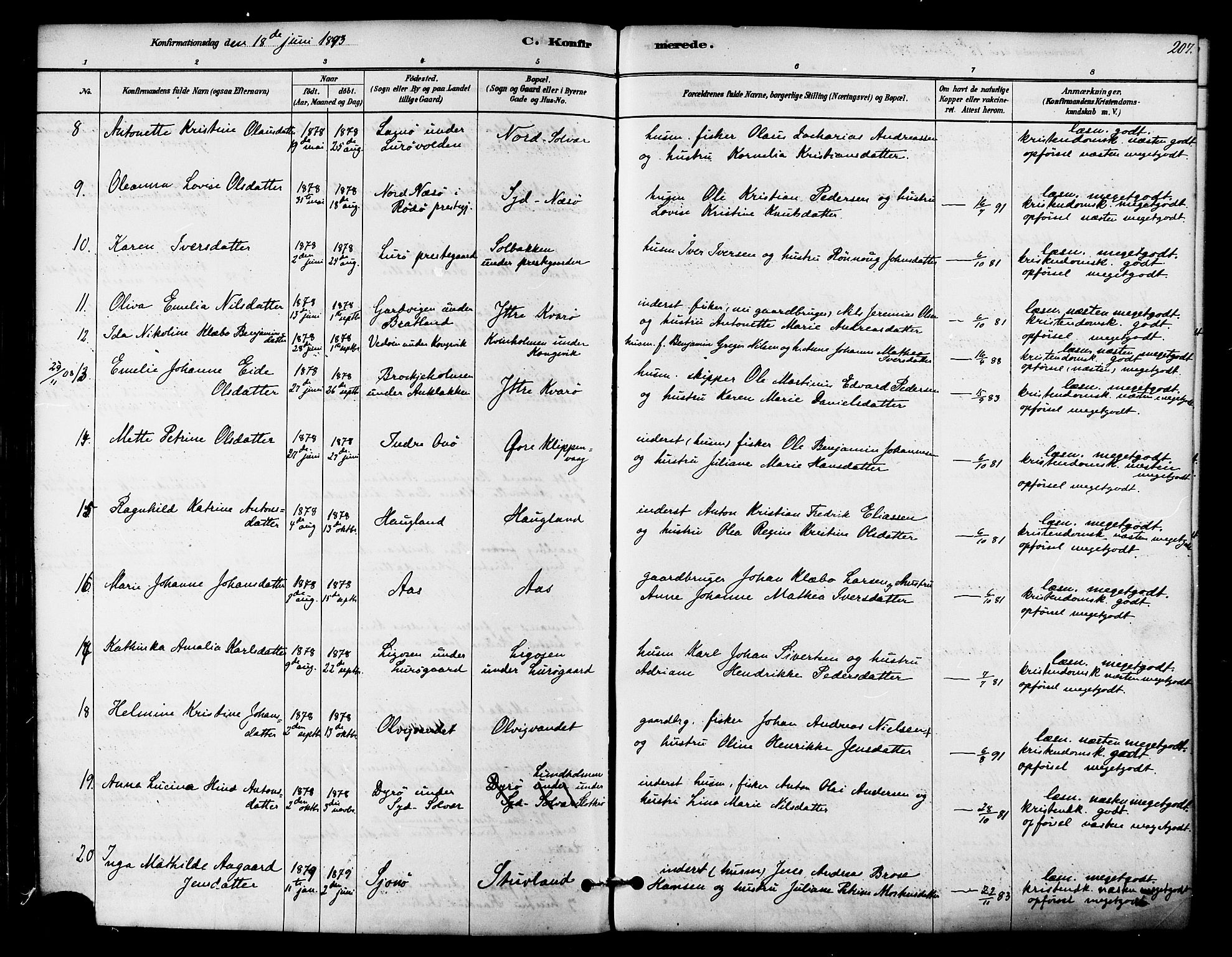 Ministerialprotokoller, klokkerbøker og fødselsregistre - Nordland, SAT/A-1459/839/L0568: Parish register (official) no. 839A05, 1880-1902, p. 207