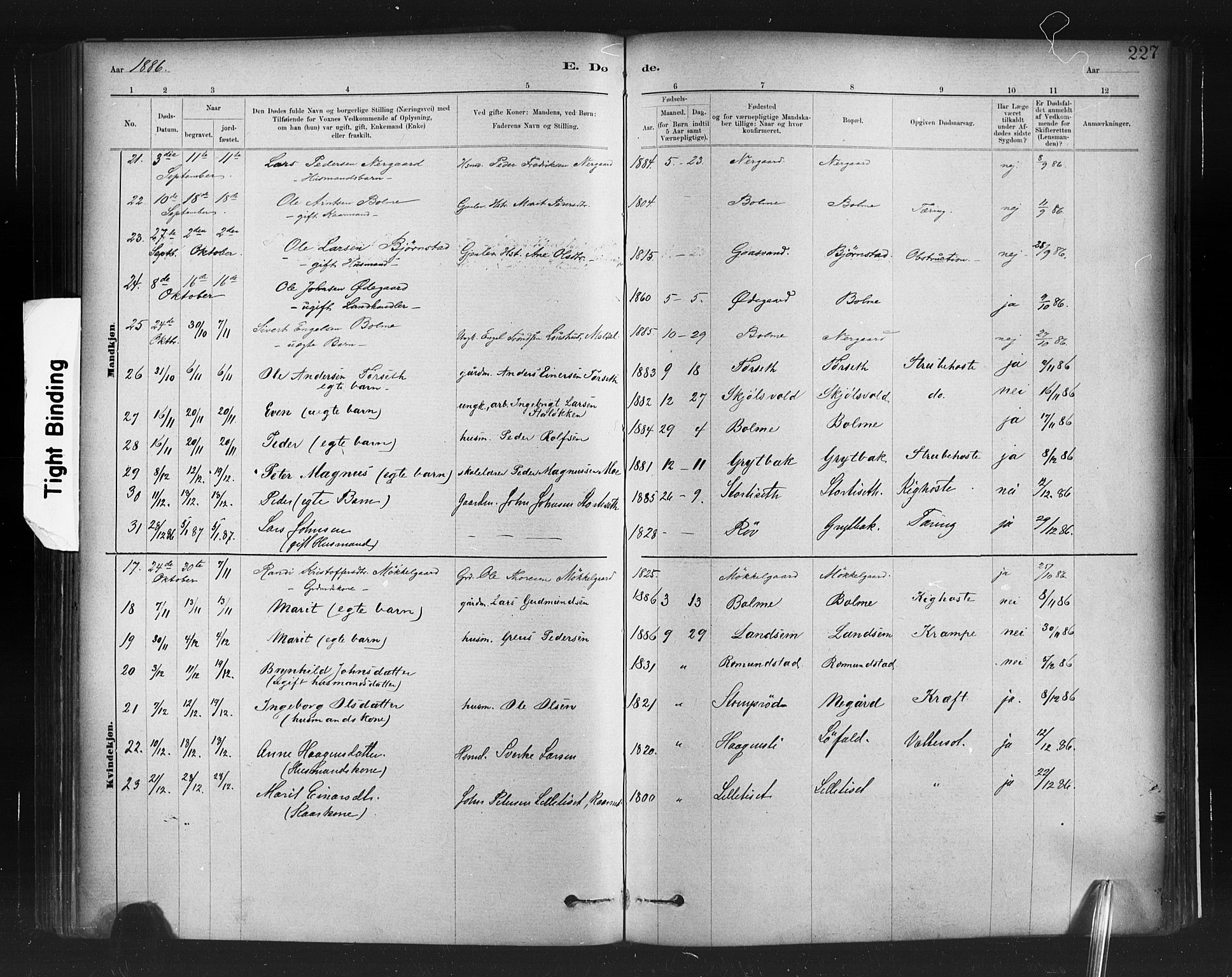 Ministerialprotokoller, klokkerbøker og fødselsregistre - Møre og Romsdal, AV/SAT-A-1454/598/L1069: Parish register (official) no. 598A03, 1882-1895, p. 227