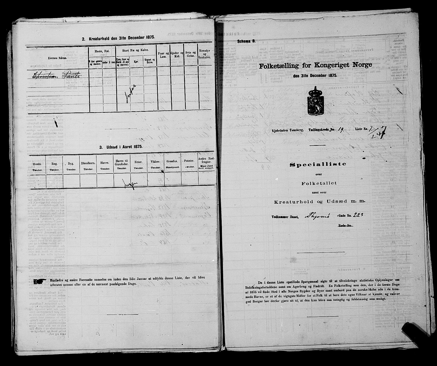 SAKO, 1875 census for 0705P Tønsberg, 1875, p. 607