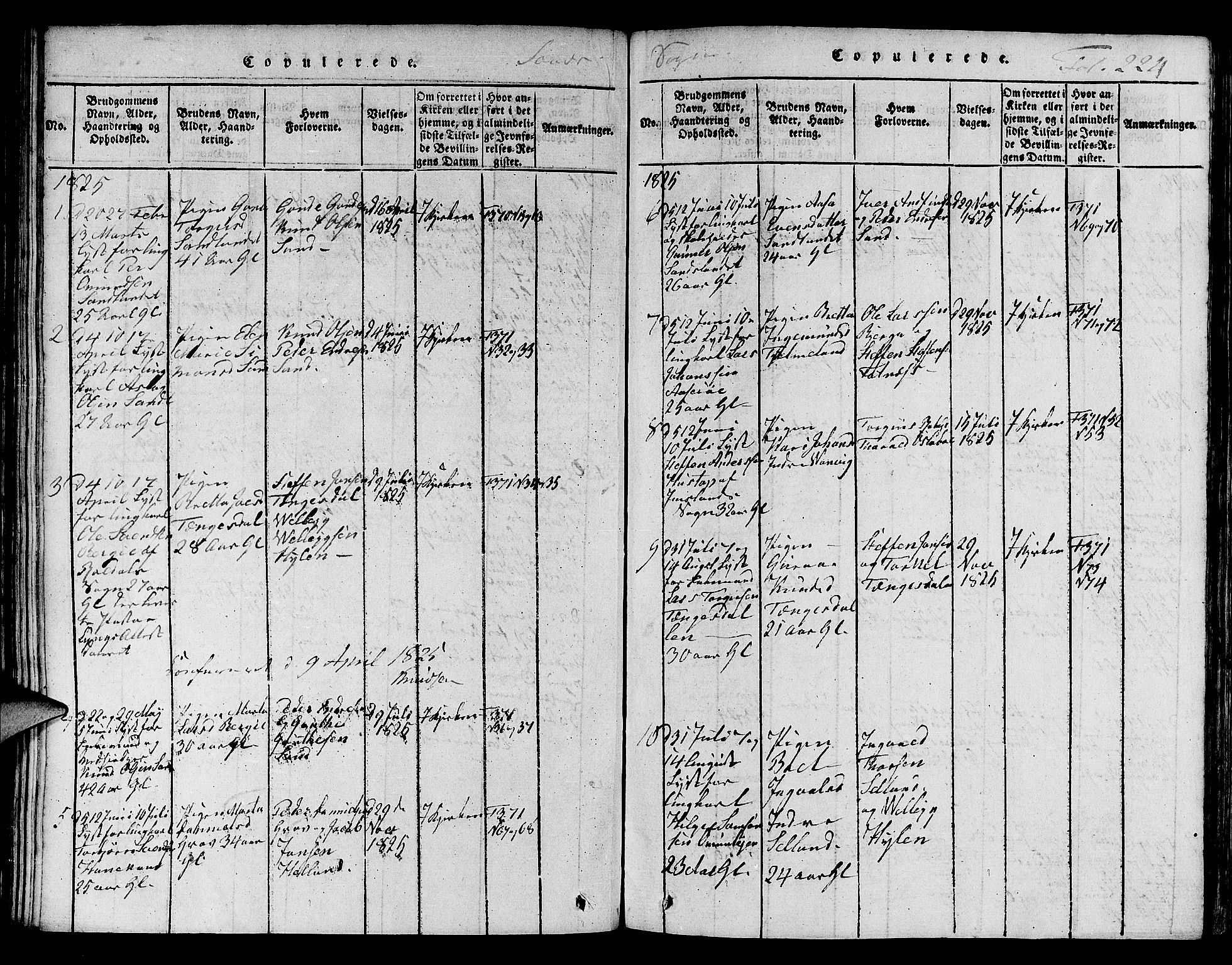 Jelsa sokneprestkontor, SAST/A-101842/01/V: Parish register (copy) no. B 1 /2, 1816-1828, p. 224