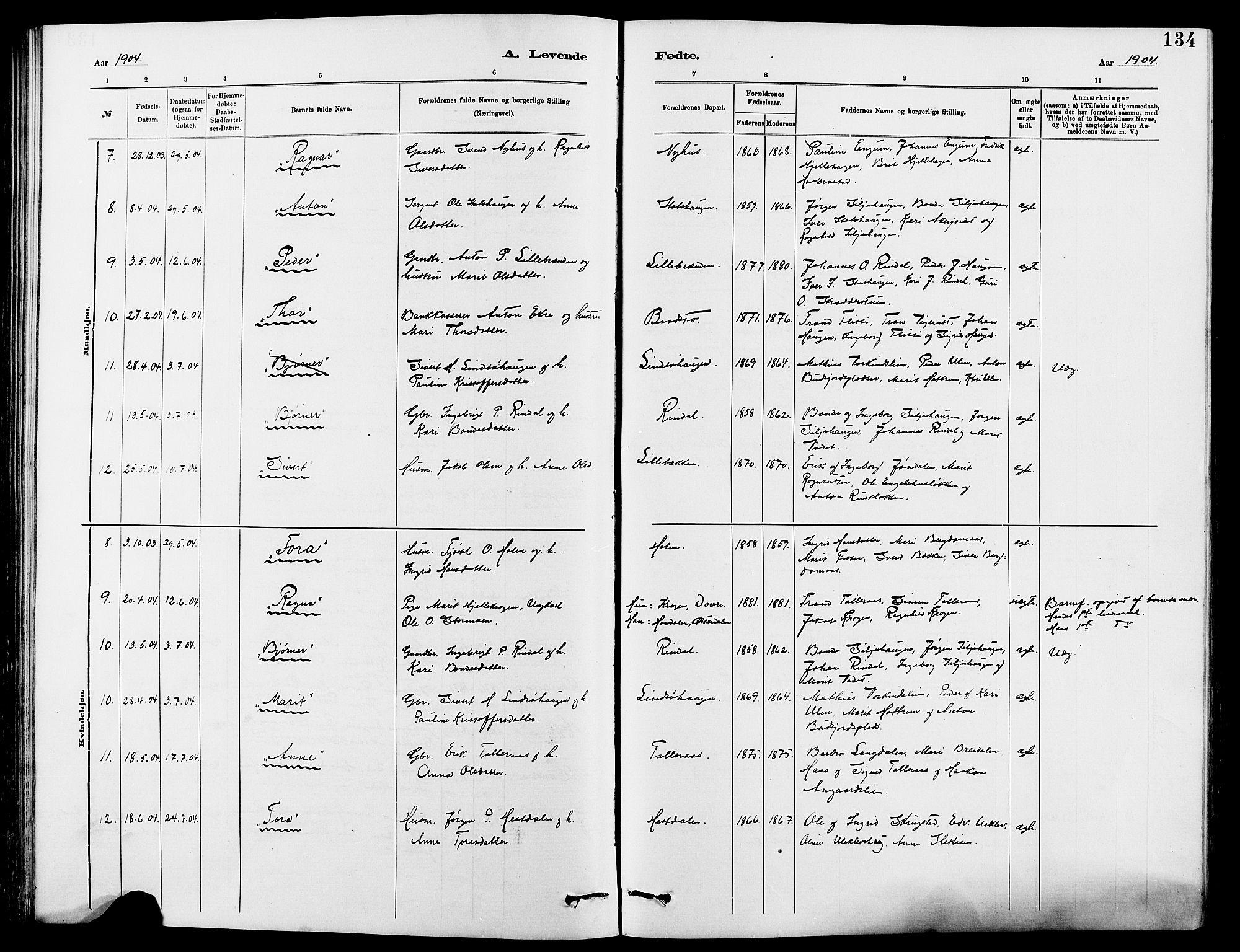 Dovre prestekontor, SAH/PREST-066/H/Ha/Hab/L0002: Parish register (copy) no. 2, 1881-1907, p. 134