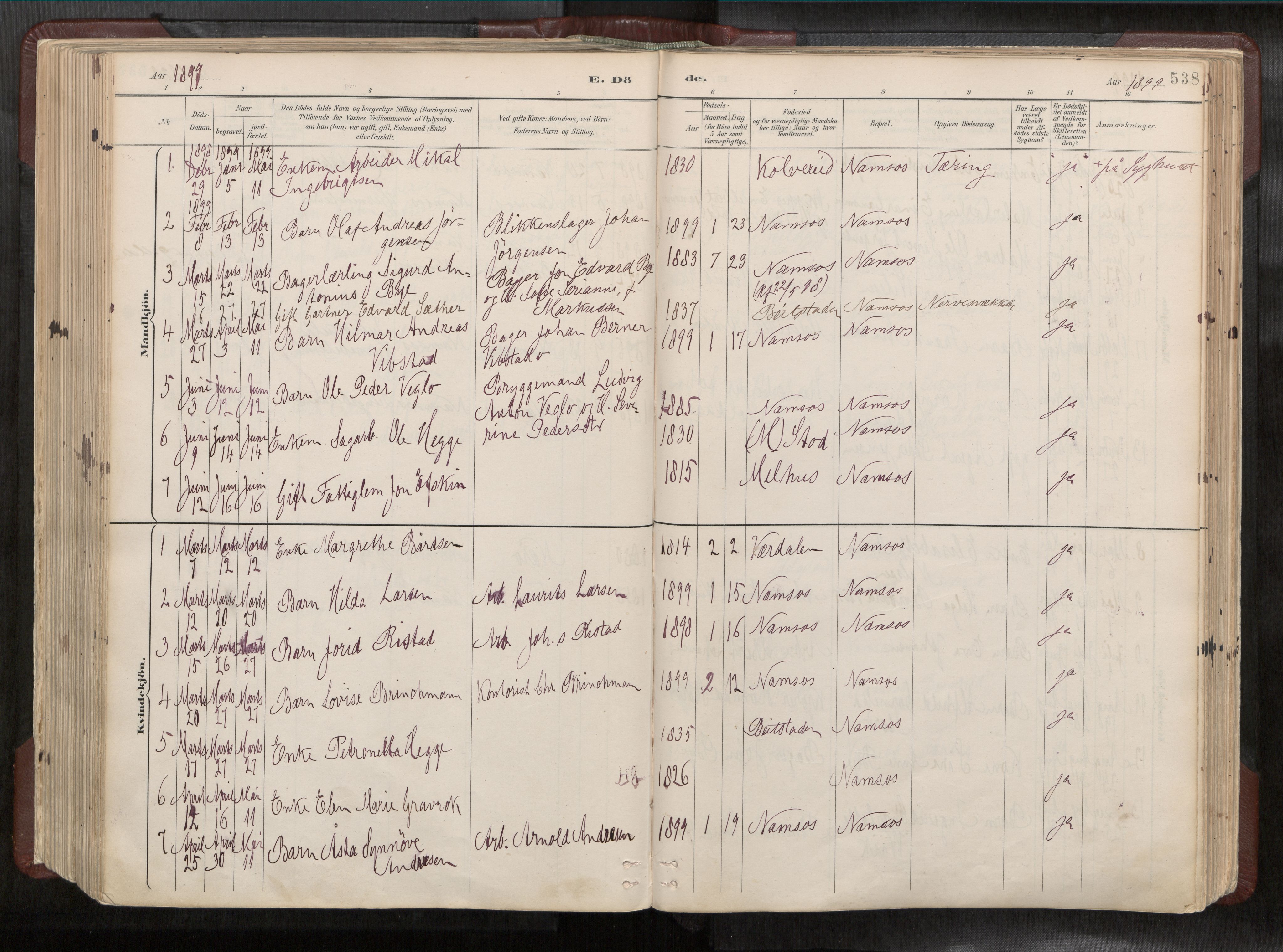 Ministerialprotokoller, klokkerbøker og fødselsregistre - Nord-Trøndelag, SAT/A-1458/768/L0579a: Parish register (official) no. 768A14, 1887-1931, p. 538
