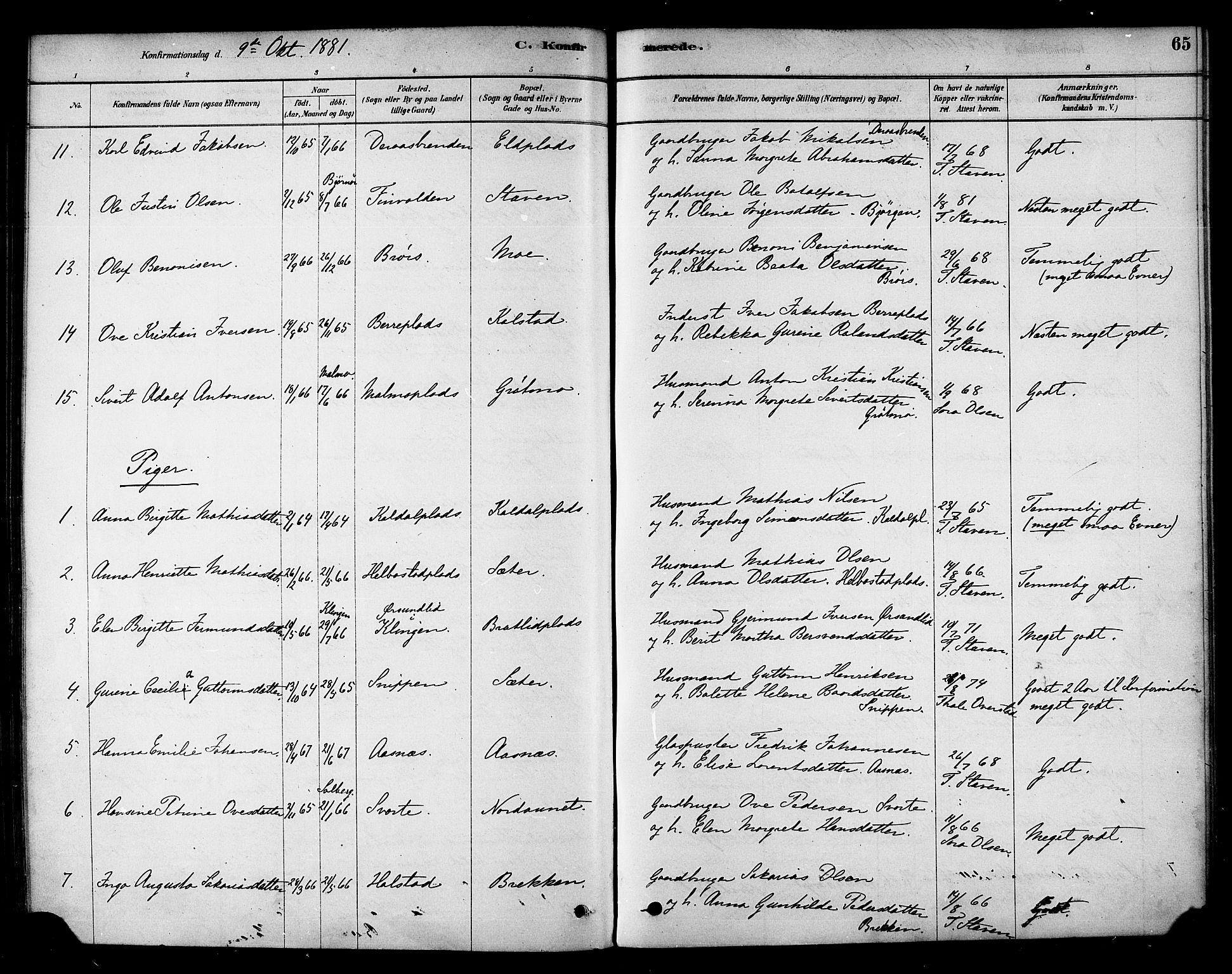 Ministerialprotokoller, klokkerbøker og fødselsregistre - Nord-Trøndelag, AV/SAT-A-1458/742/L0408: Parish register (official) no. 742A01, 1878-1890, p. 65