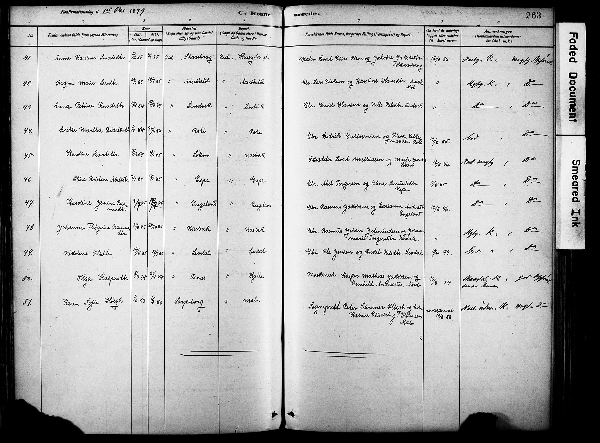 Eid sokneprestembete, AV/SAB-A-82301/H/Haa/Haab/L0001: Parish register (official) no. B 1, 1879-1906, p. 263