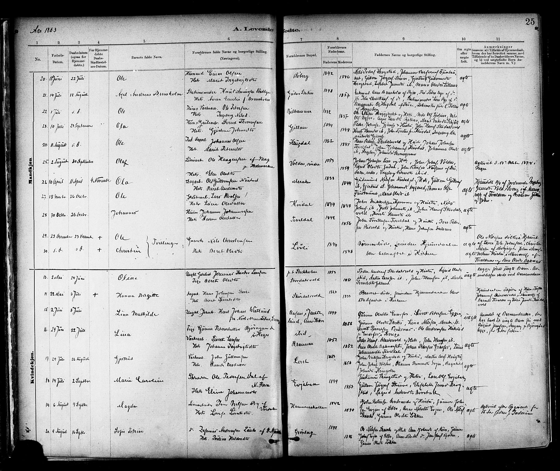 Ministerialprotokoller, klokkerbøker og fødselsregistre - Nord-Trøndelag, AV/SAT-A-1458/706/L0047: Parish register (official) no. 706A03, 1878-1892, p. 25