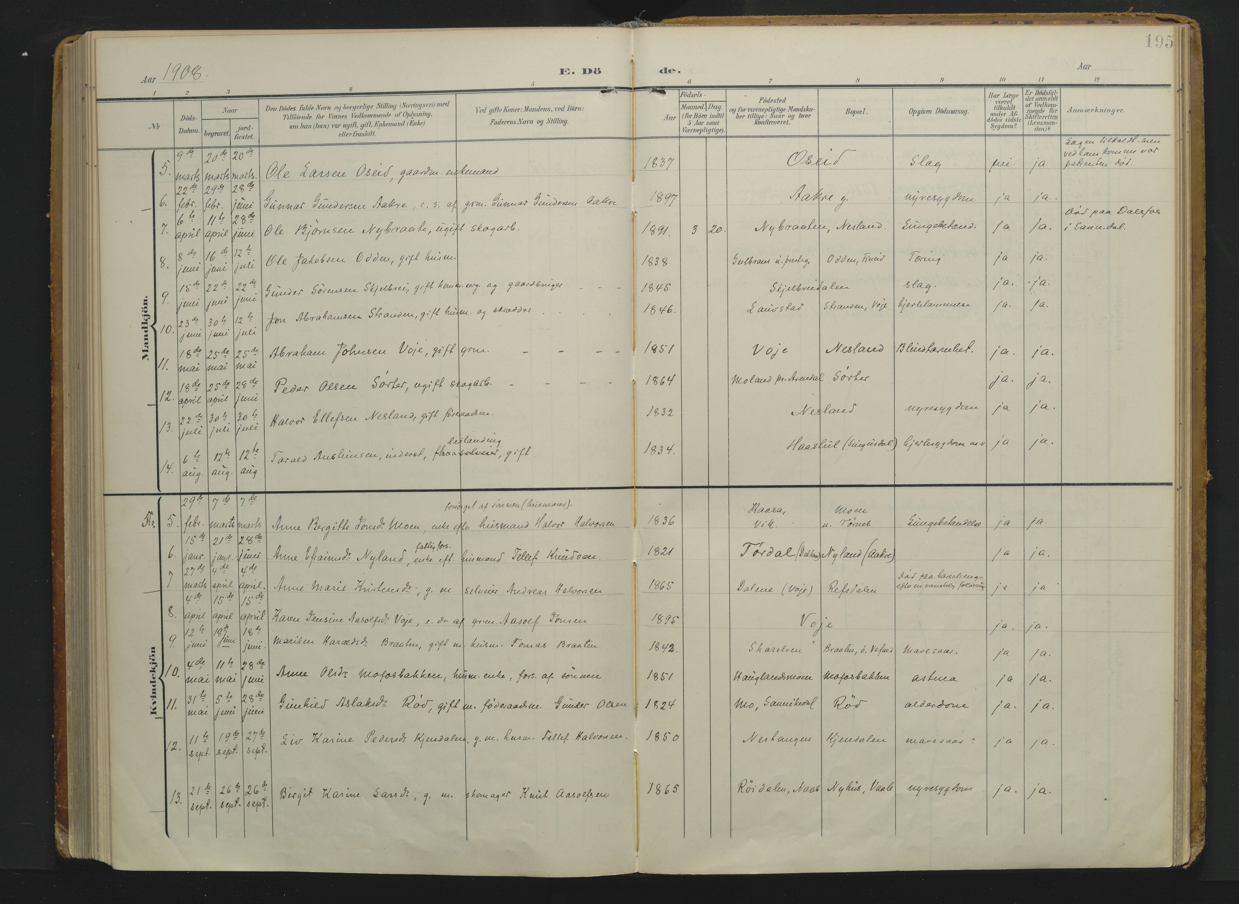 Drangedal kirkebøker, AV/SAKO-A-258/F/Fa/L0014: Parish register (official) no. 14, 1906-1920, p. 195