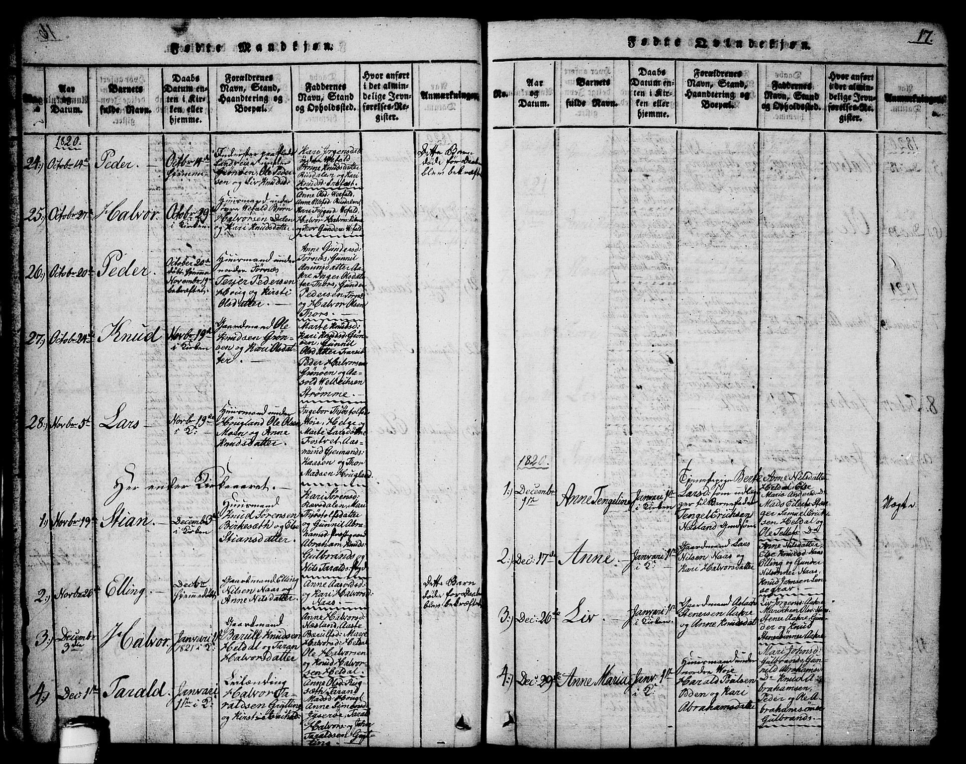 Drangedal kirkebøker, SAKO/A-258/G/Ga/L0001: Parish register (copy) no. I 1 /1, 1814-1856, p. 17